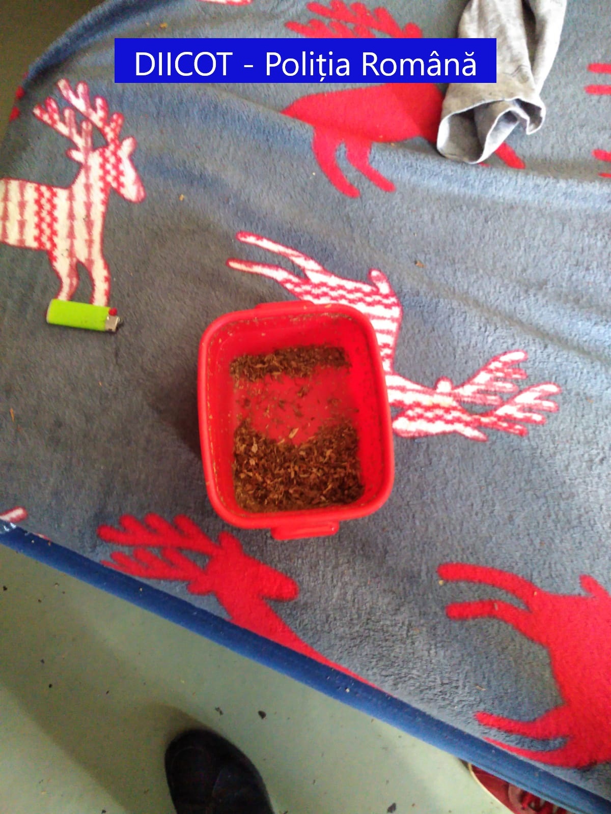 trafic de droguri oradea (17)