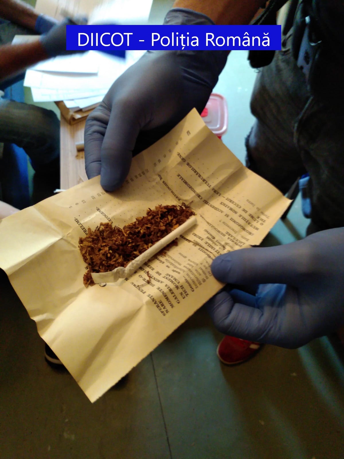 trafic de droguri oradea (6)