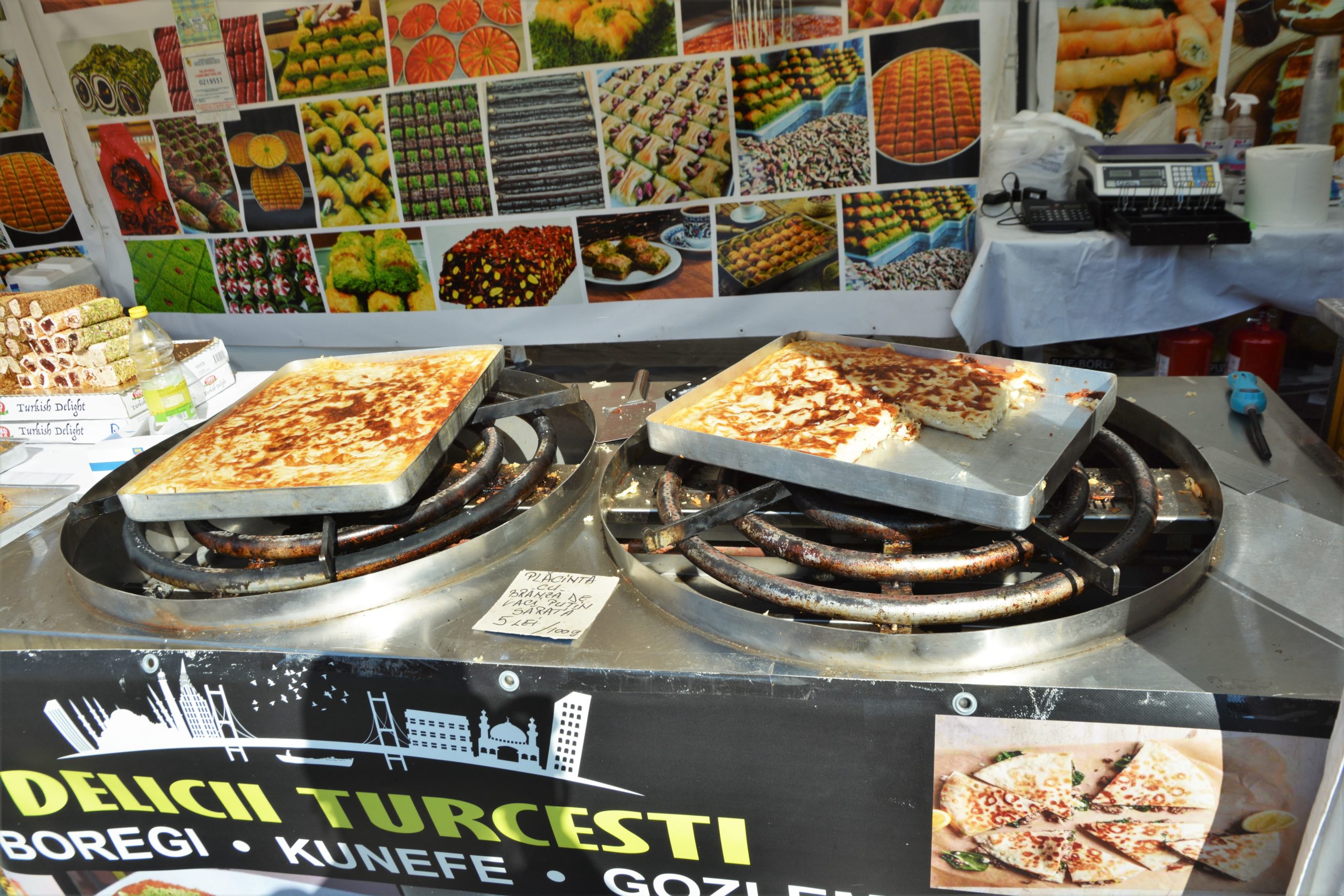 Festivalul Mediteranean oradea (12)