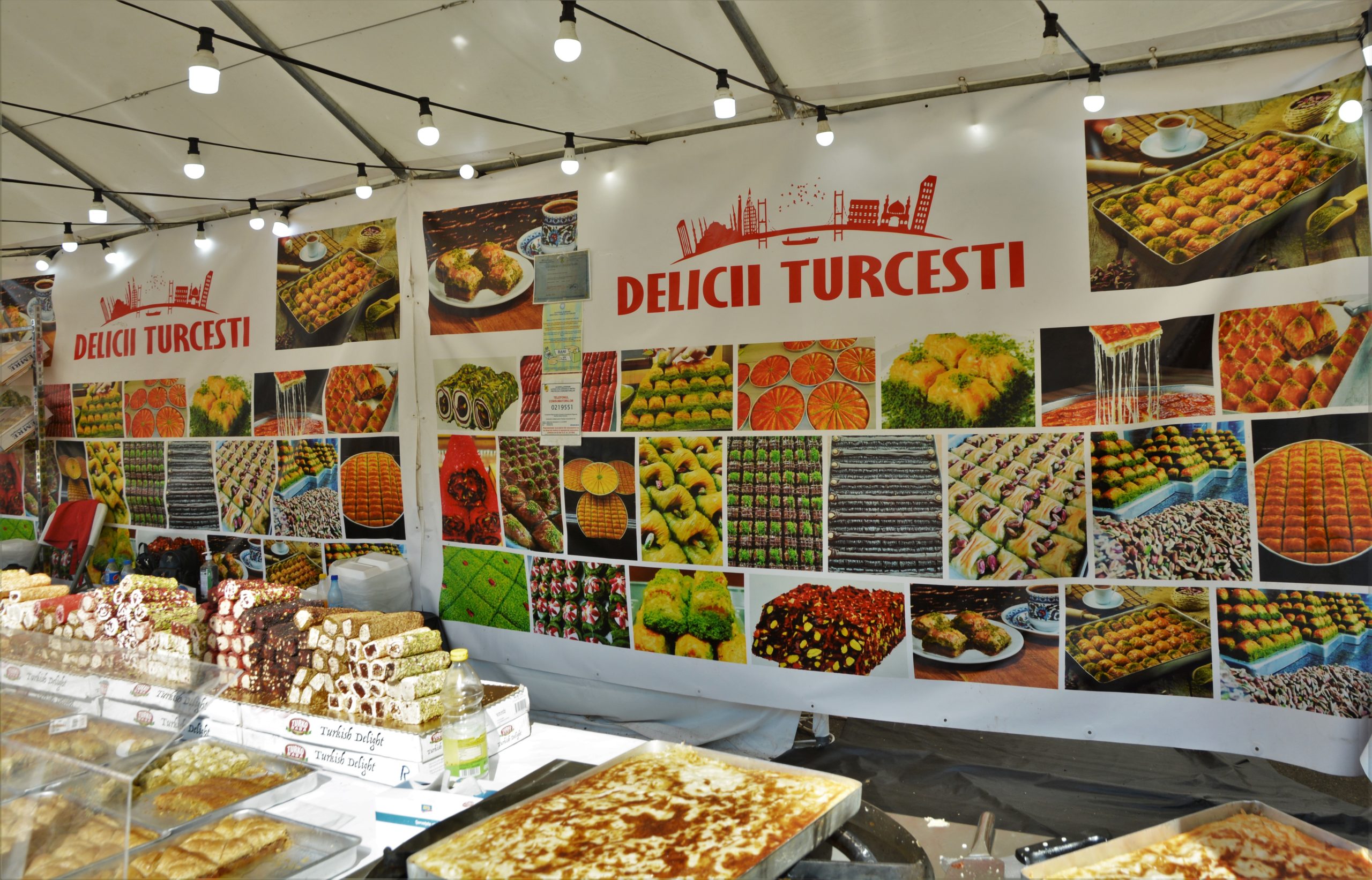 Festivalul Mediteranean oradea (13)