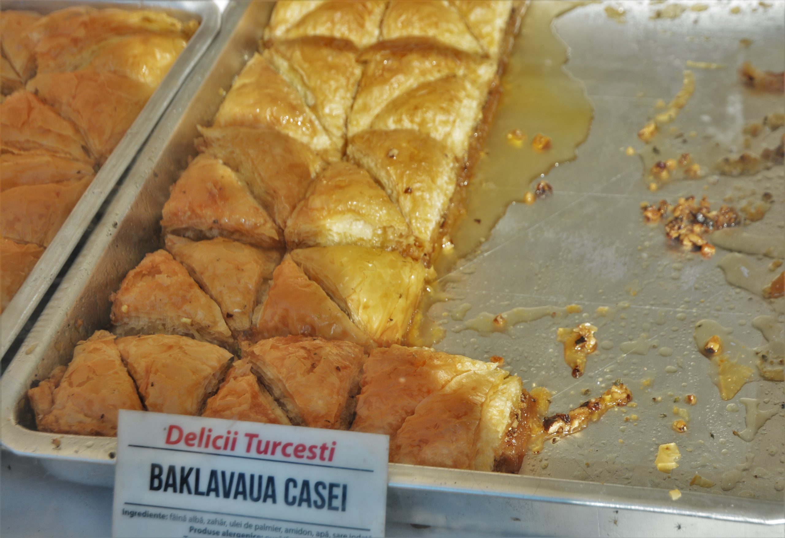 Festivalul Mediteranean oradea (14)