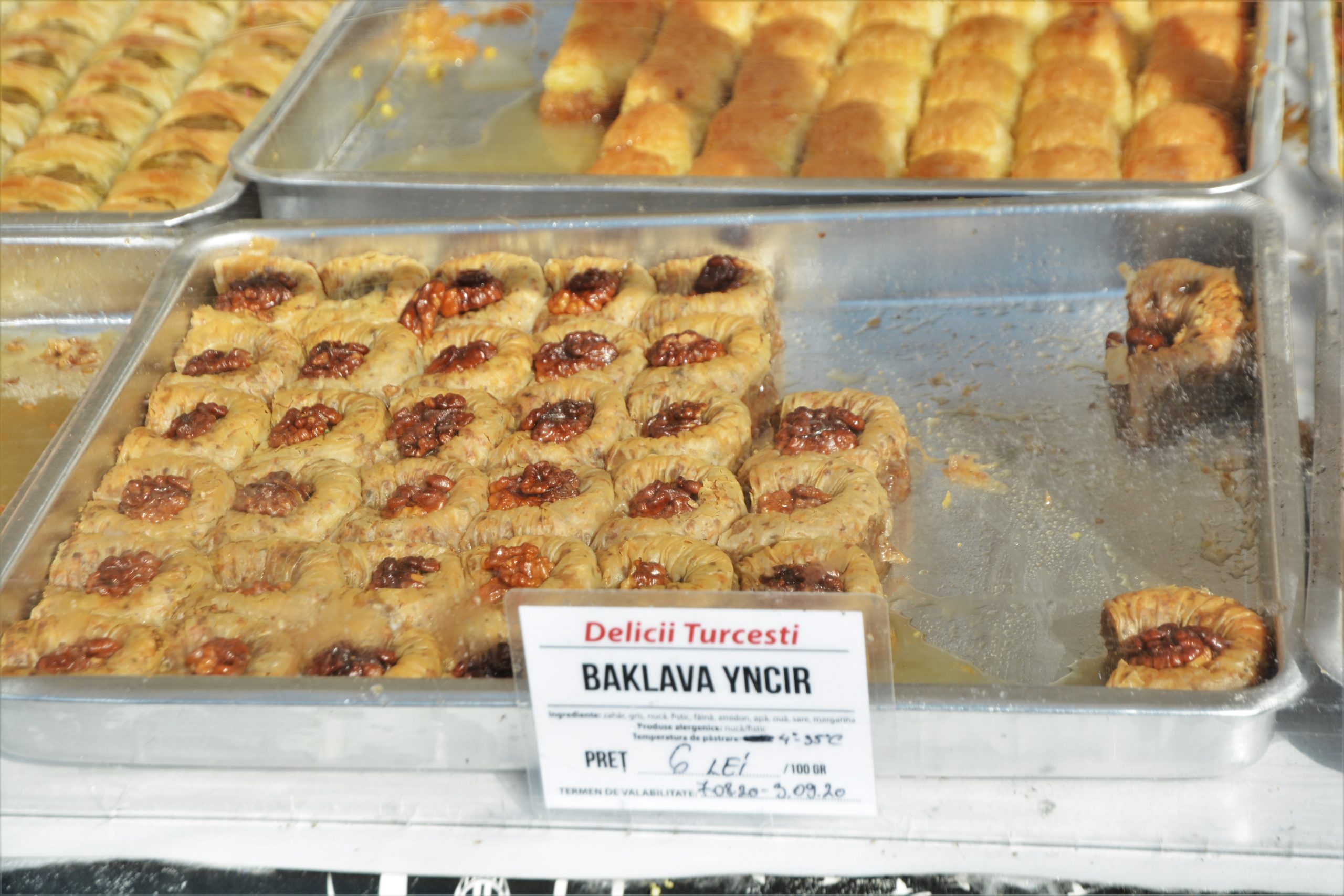 Festivalul Mediteranean oradea (17)