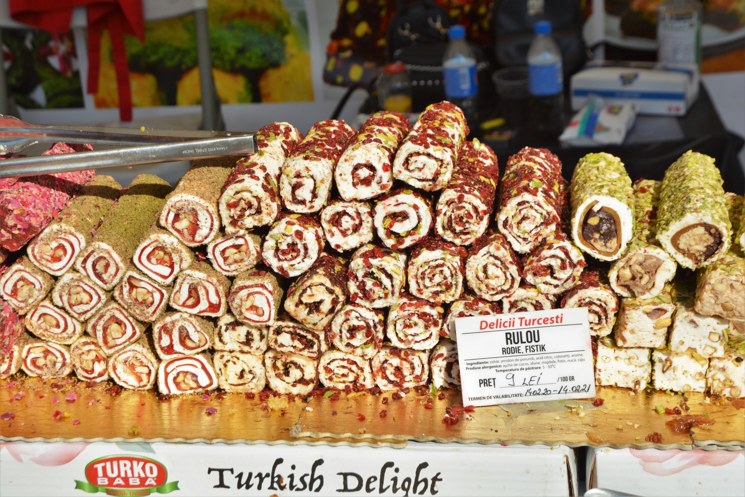 Festivalul Mediteranean oradea (18)