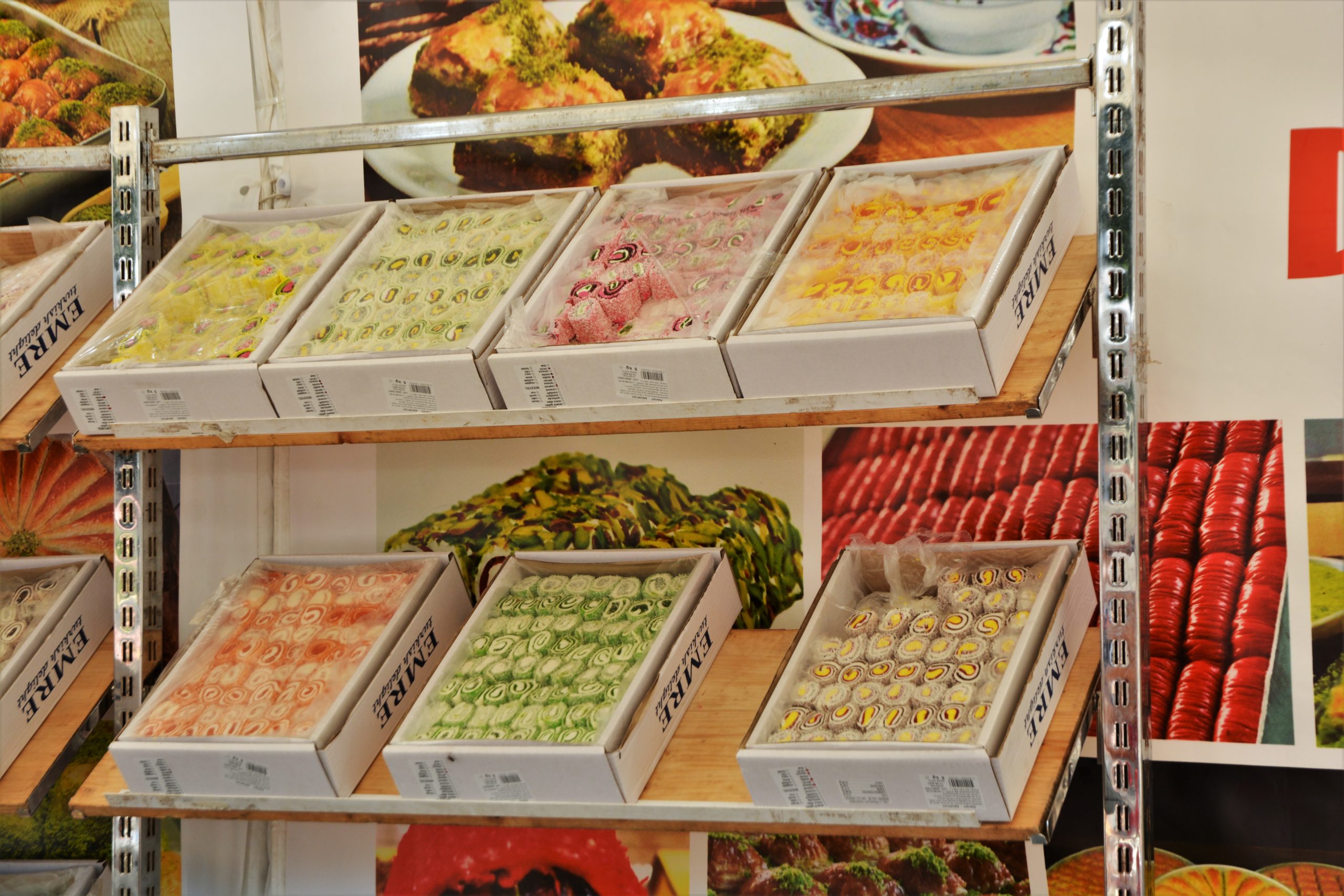 Festivalul Mediteranean oradea (21)