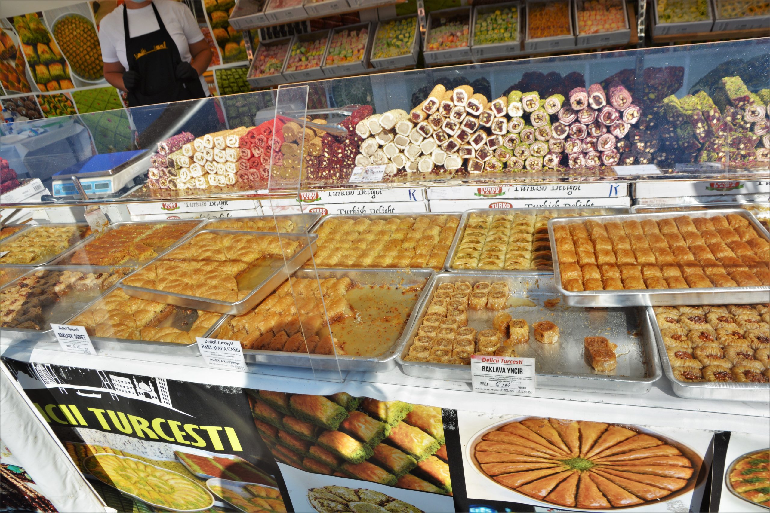 Festivalul Mediteranean oradea (23)