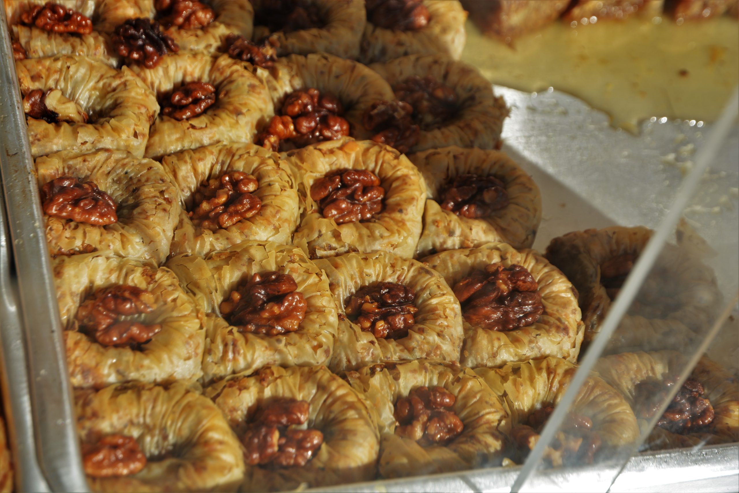 Festivalul Mediteranean oradea (26)