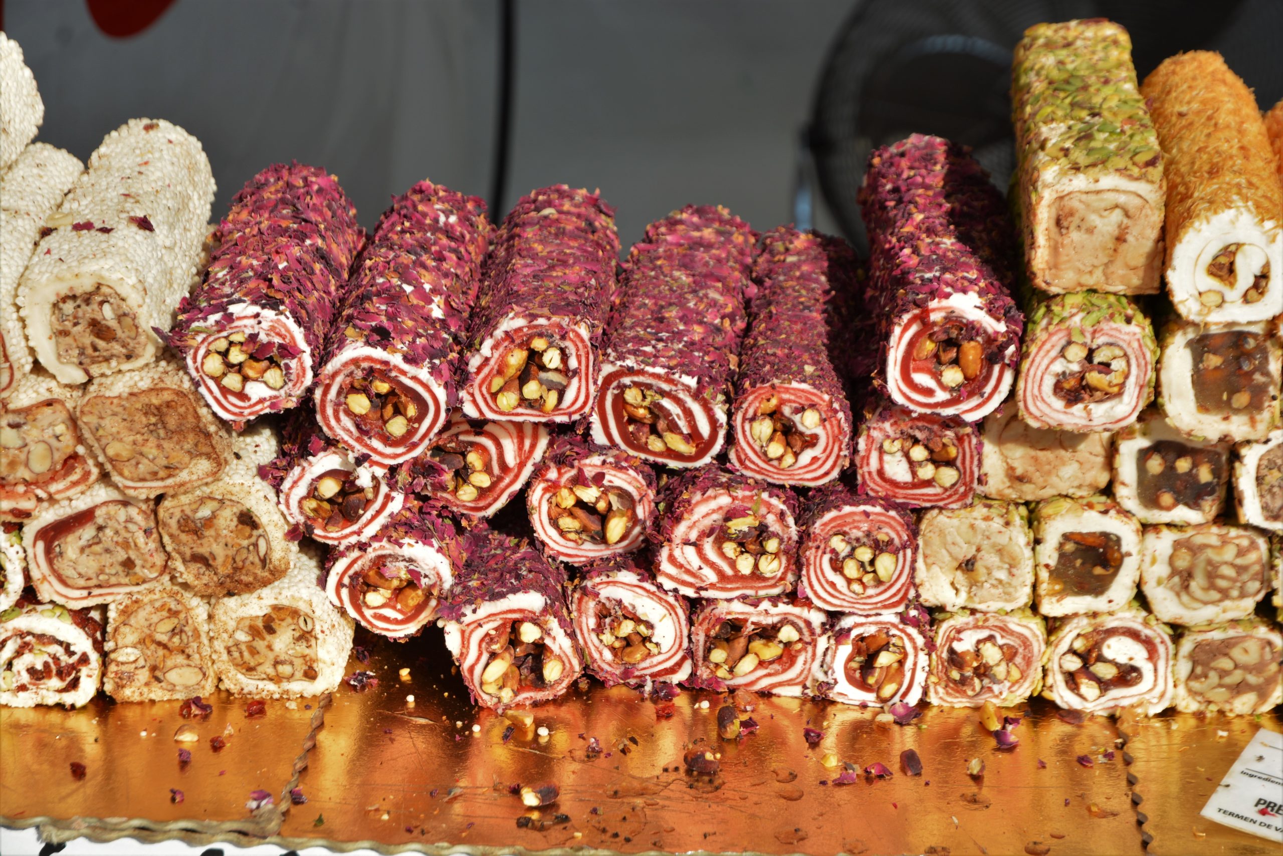 Festivalul Mediteranean oradea (30)