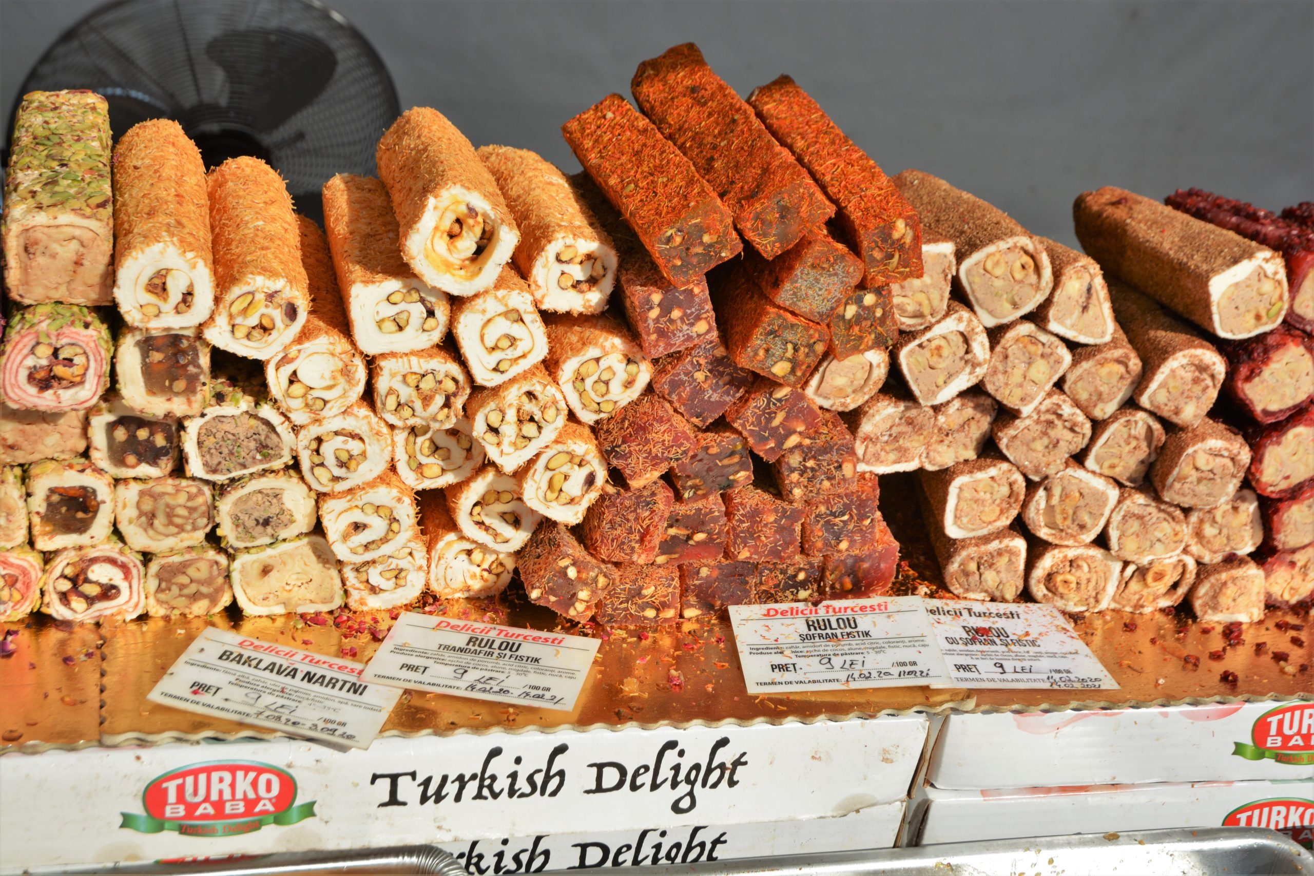 Festivalul Mediteranean oradea (33)