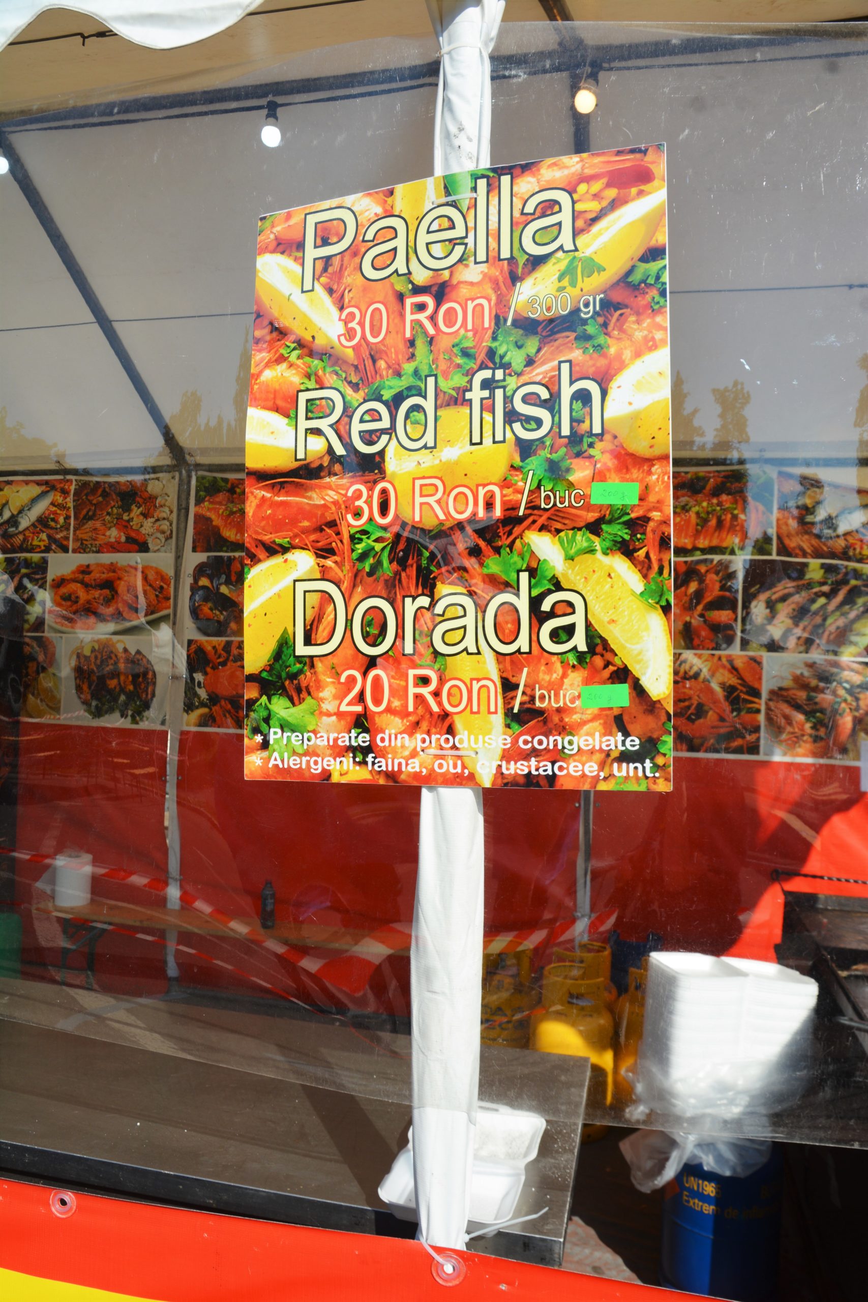 Festivalul Mediteranean oradea (34)