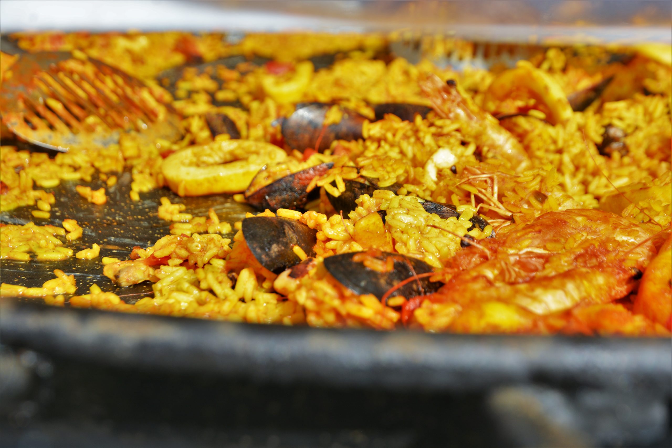 Festivalul Mediteranean oradea (35)