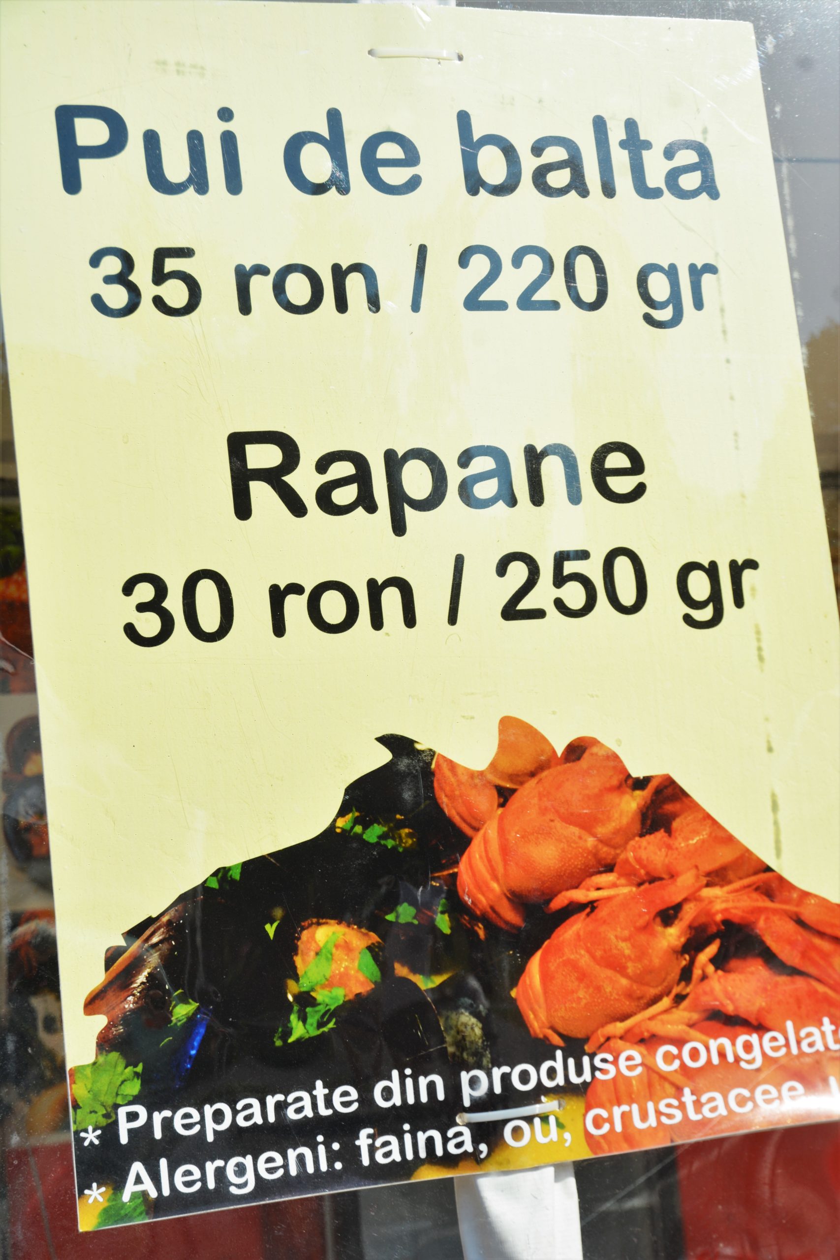 Festivalul Mediteranean oradea (38)