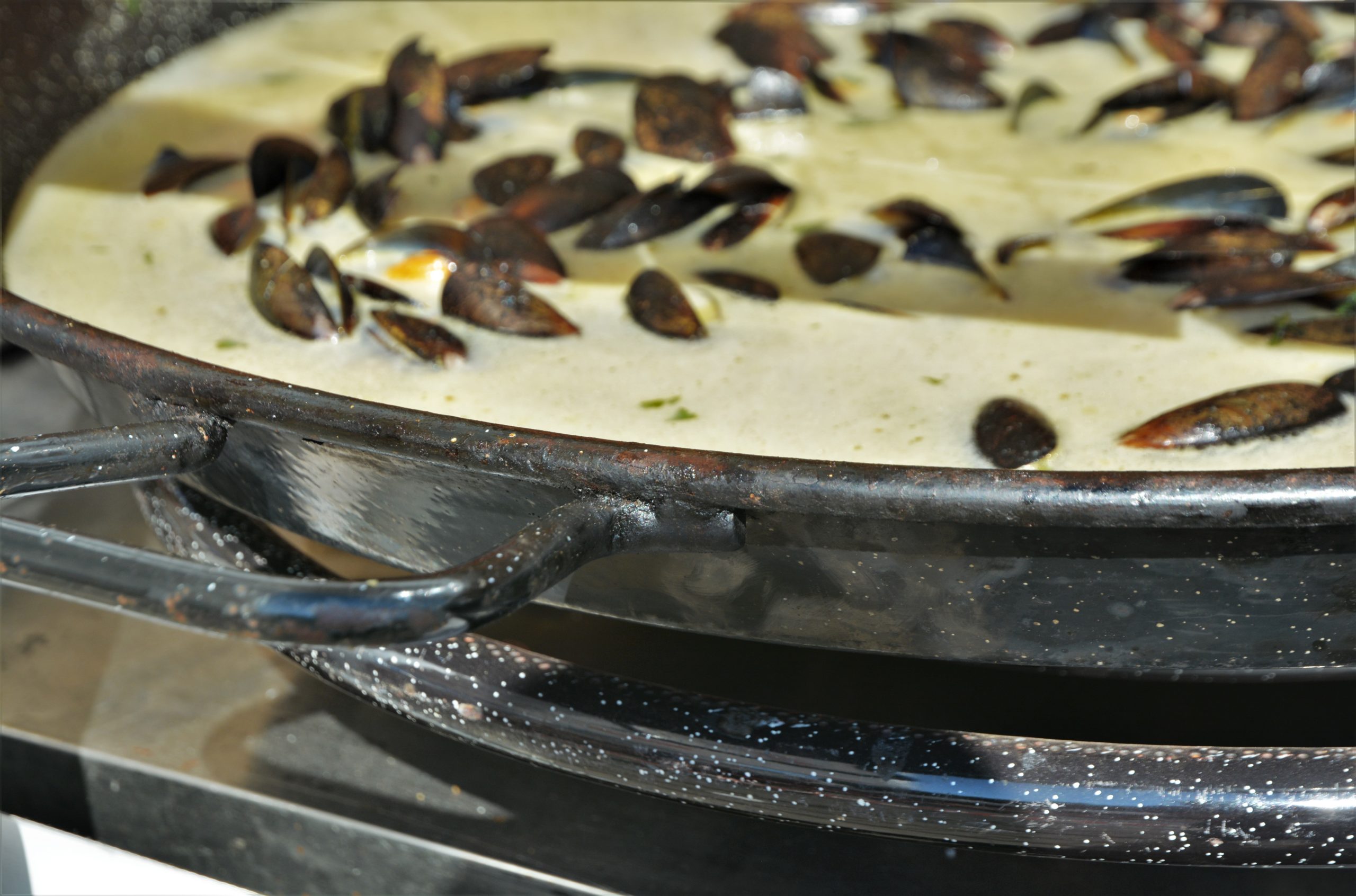 Festivalul Mediteranean oradea (39)