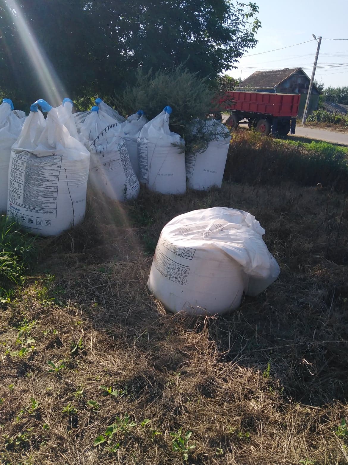 azotat de amoniu (7)