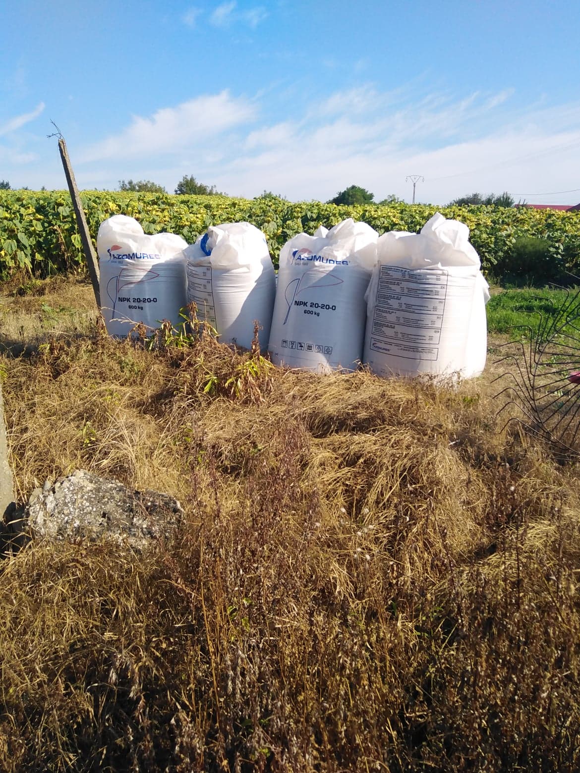 azotat de amoniu (8)