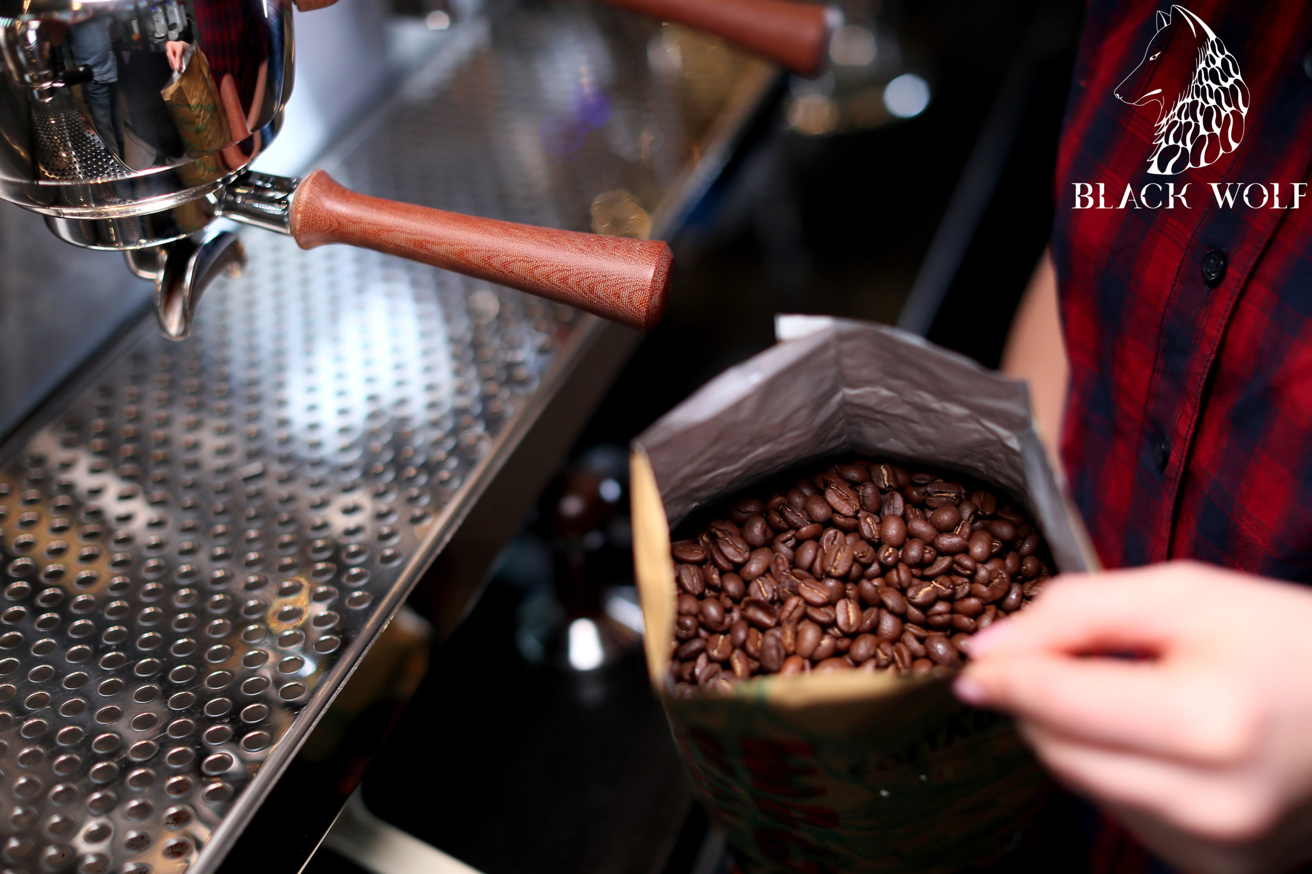 black wolf oradea (7)