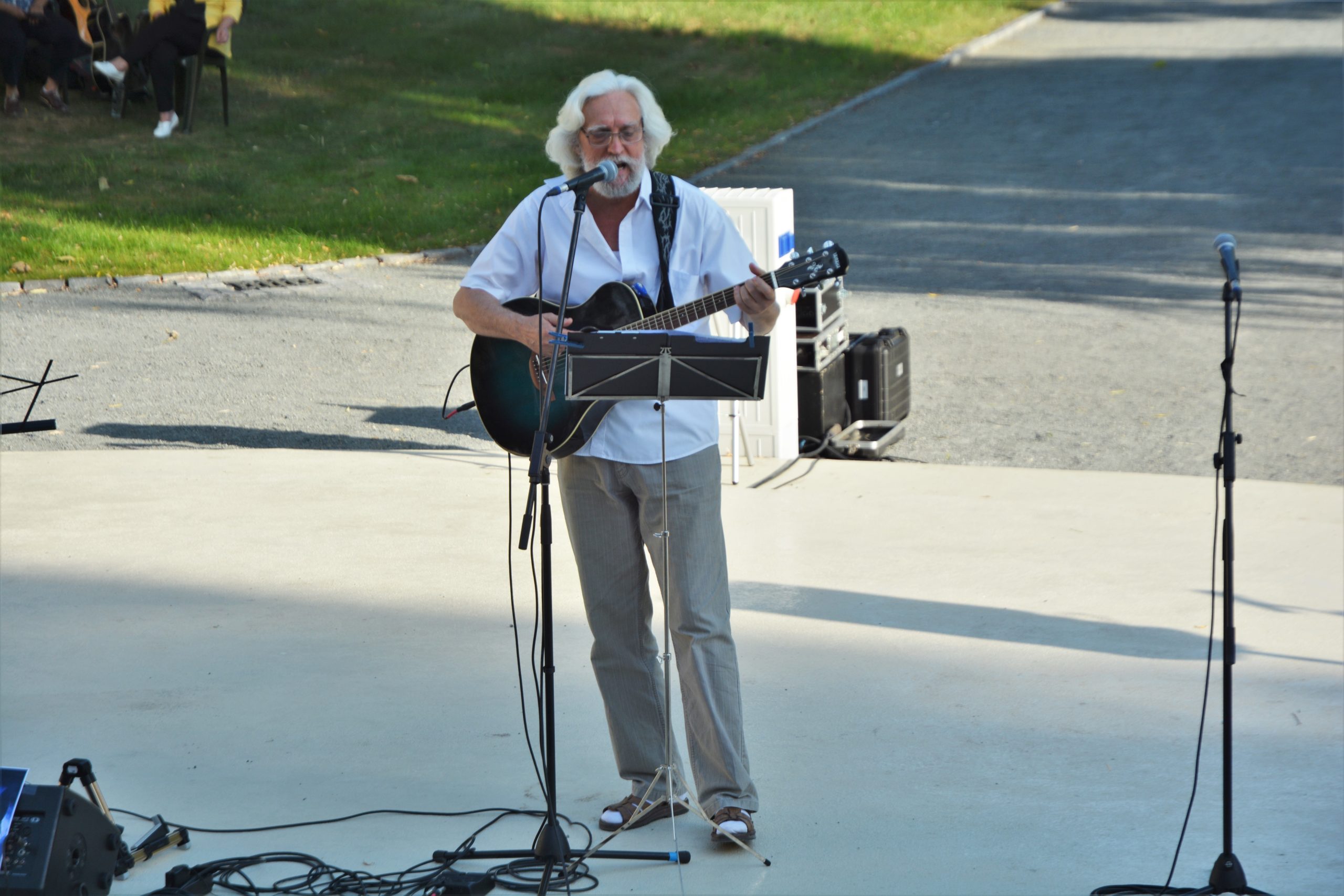 concert Give Peace a Chance 0radea (1)