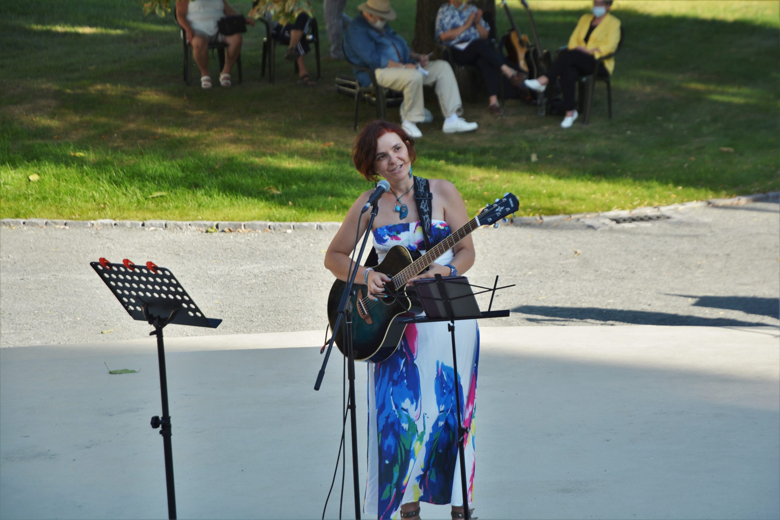 concert Give Peace a Chance 0radea (12)