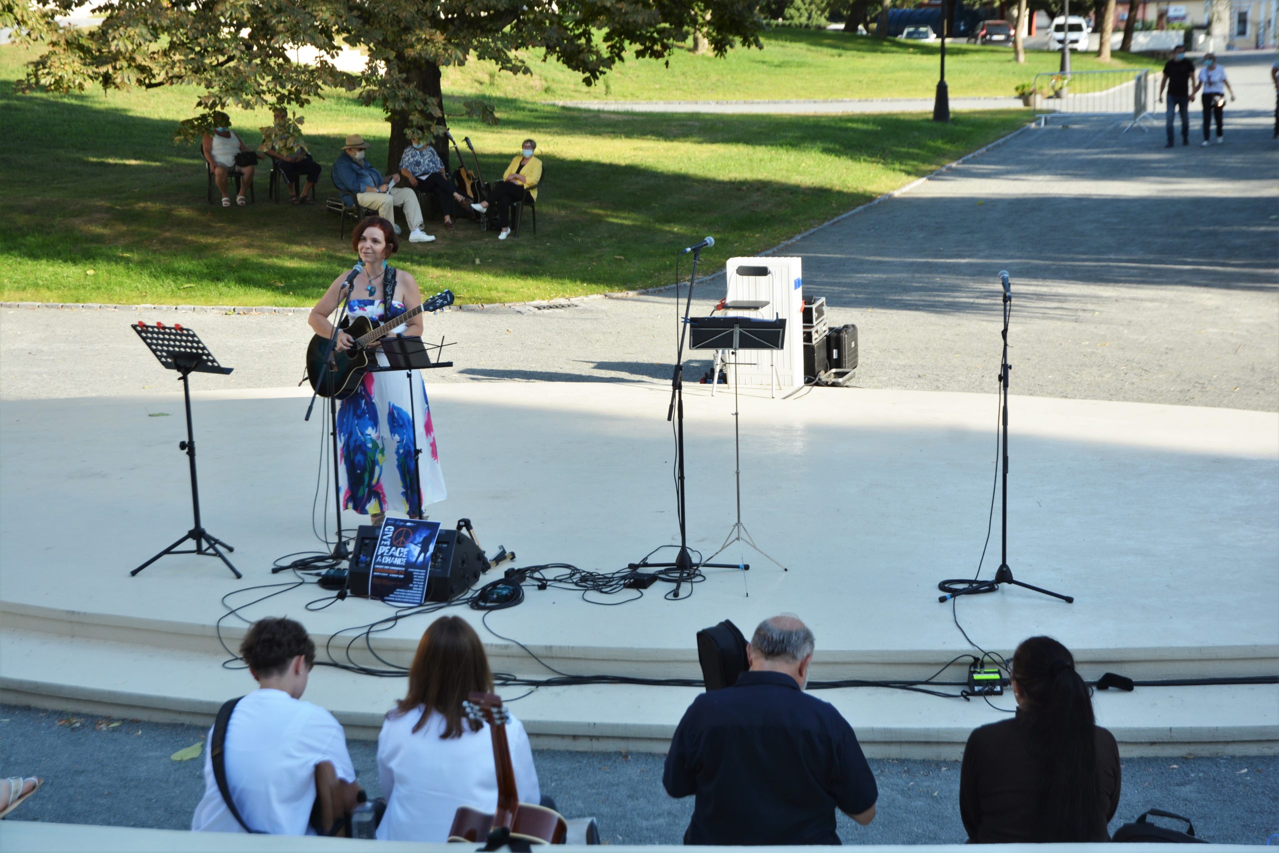 concert Give Peace a Chance 0radea (13)