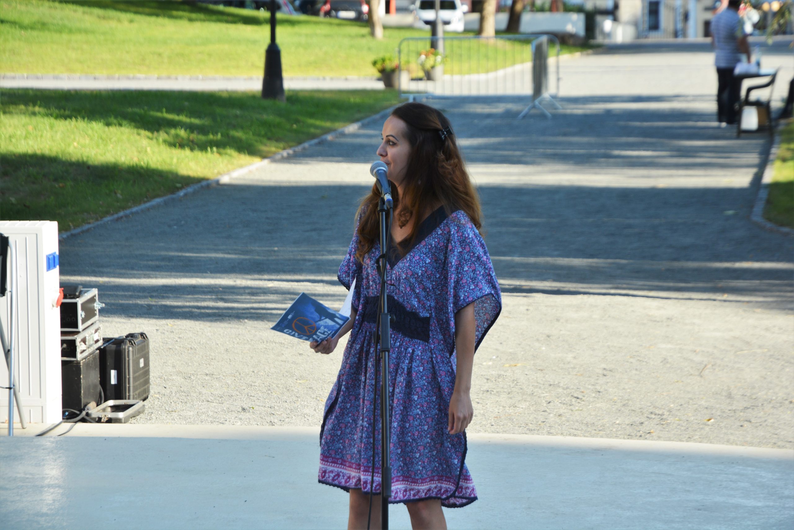 concert Give Peace a Chance 0radea (22)