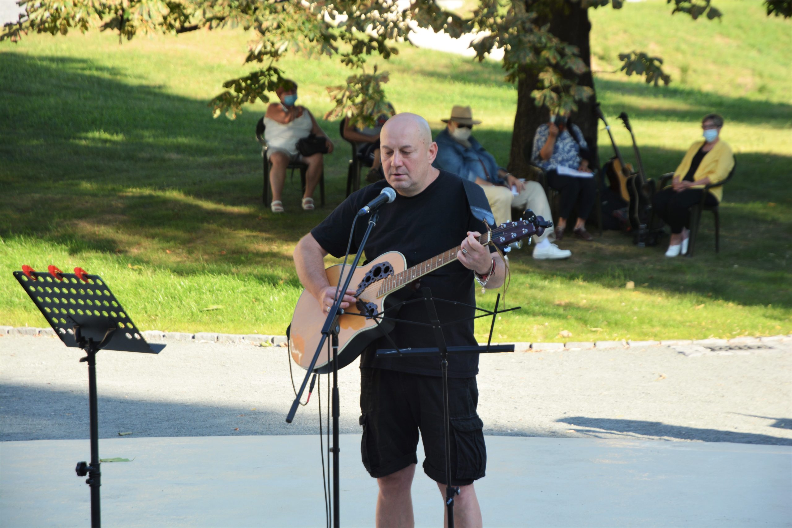 concert Give Peace a Chance 0radea (26)