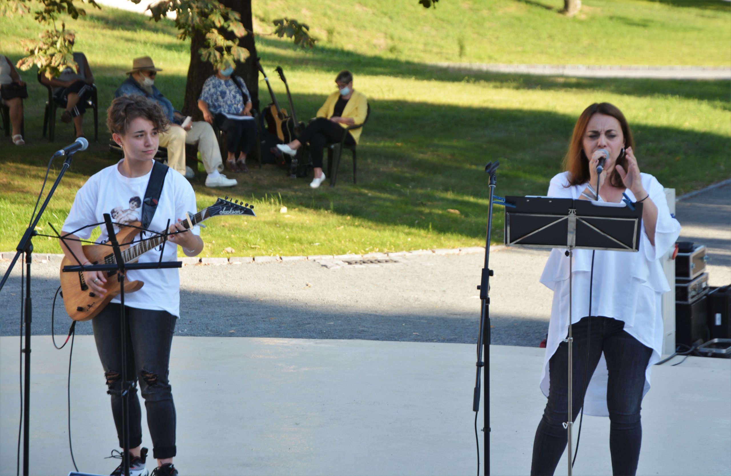 concert Give Peace a Chance 0radea (31)