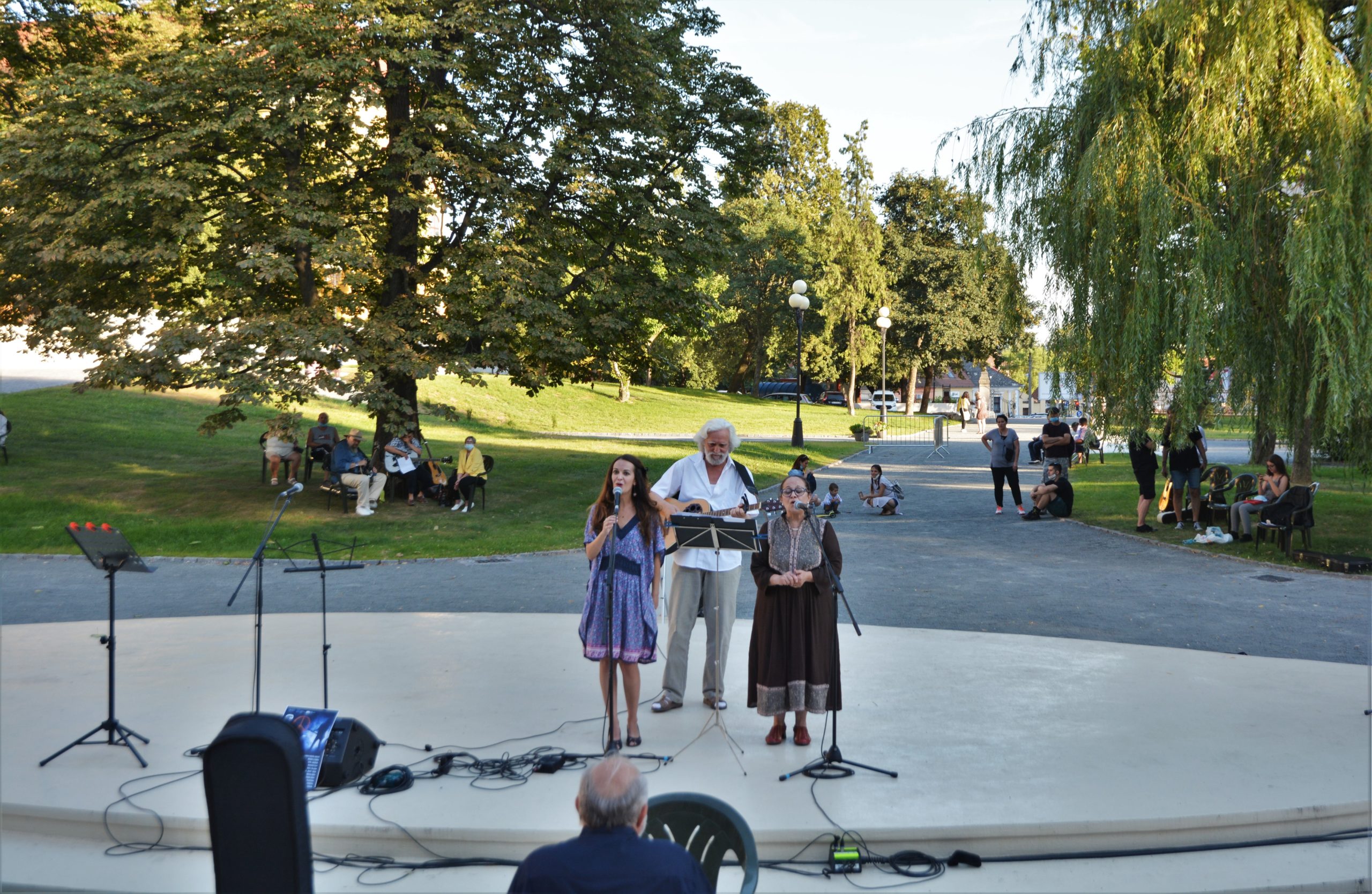 concert Give Peace a Chance 0radea (53)