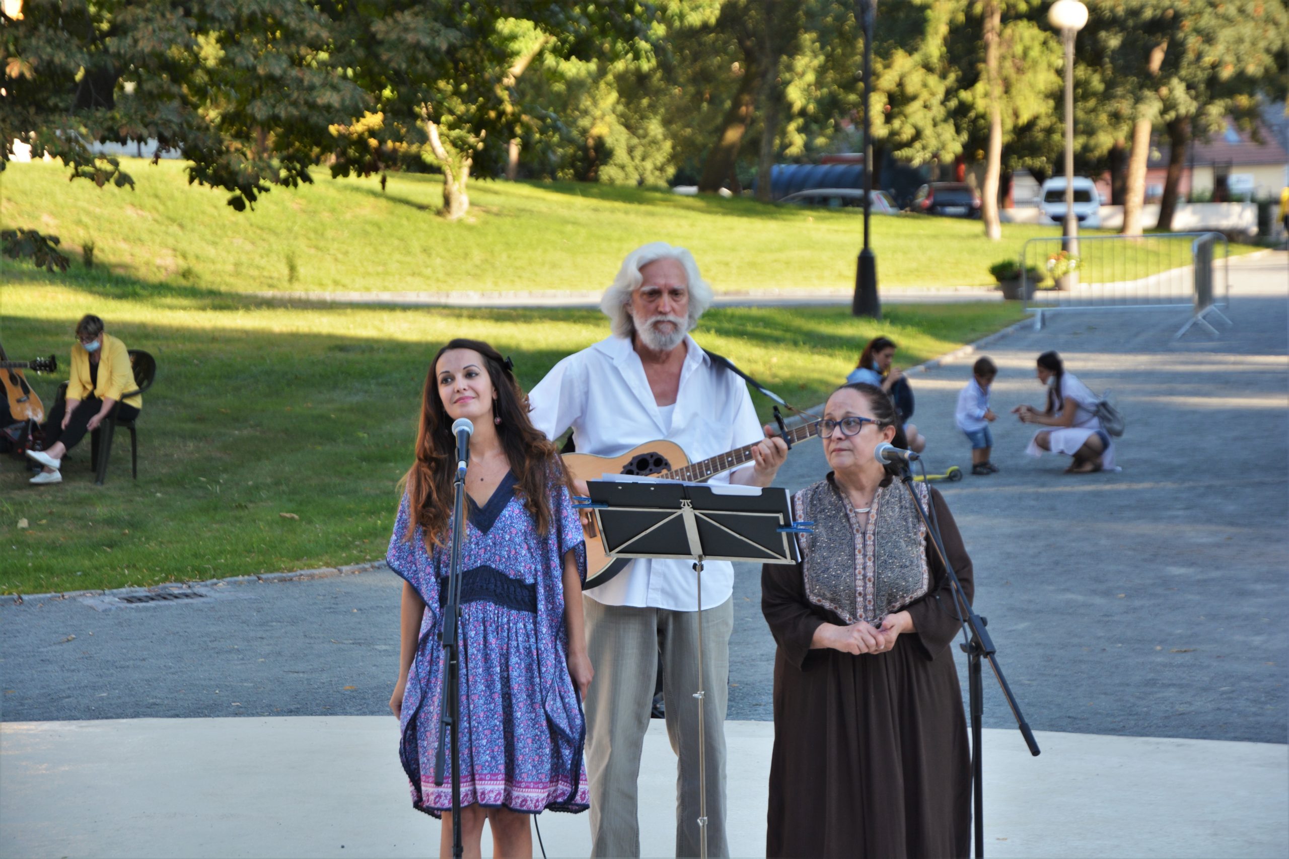 concert Give Peace a Chance 0radea (54)