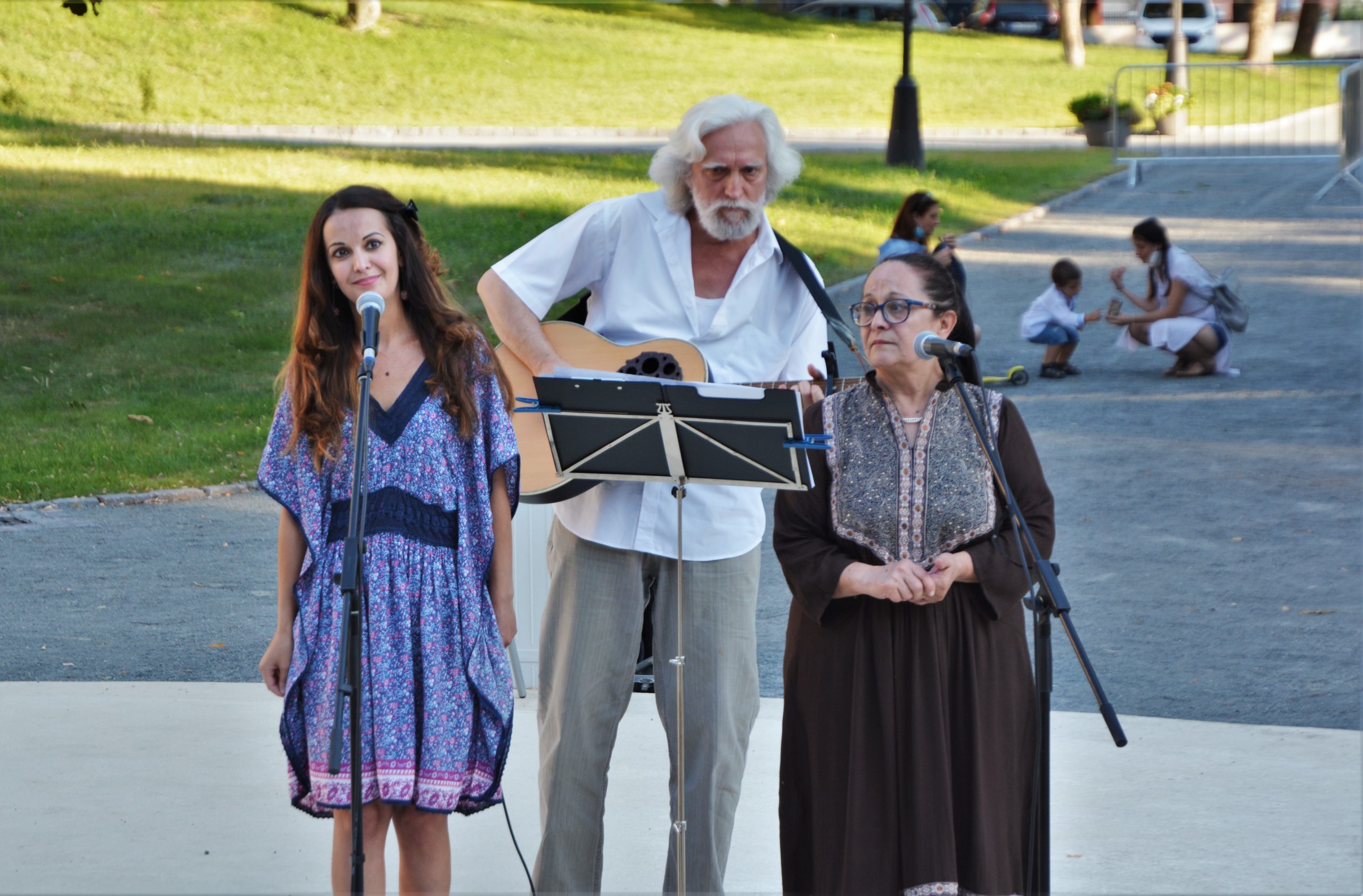 concert Give Peace a Chance 0radea (55)