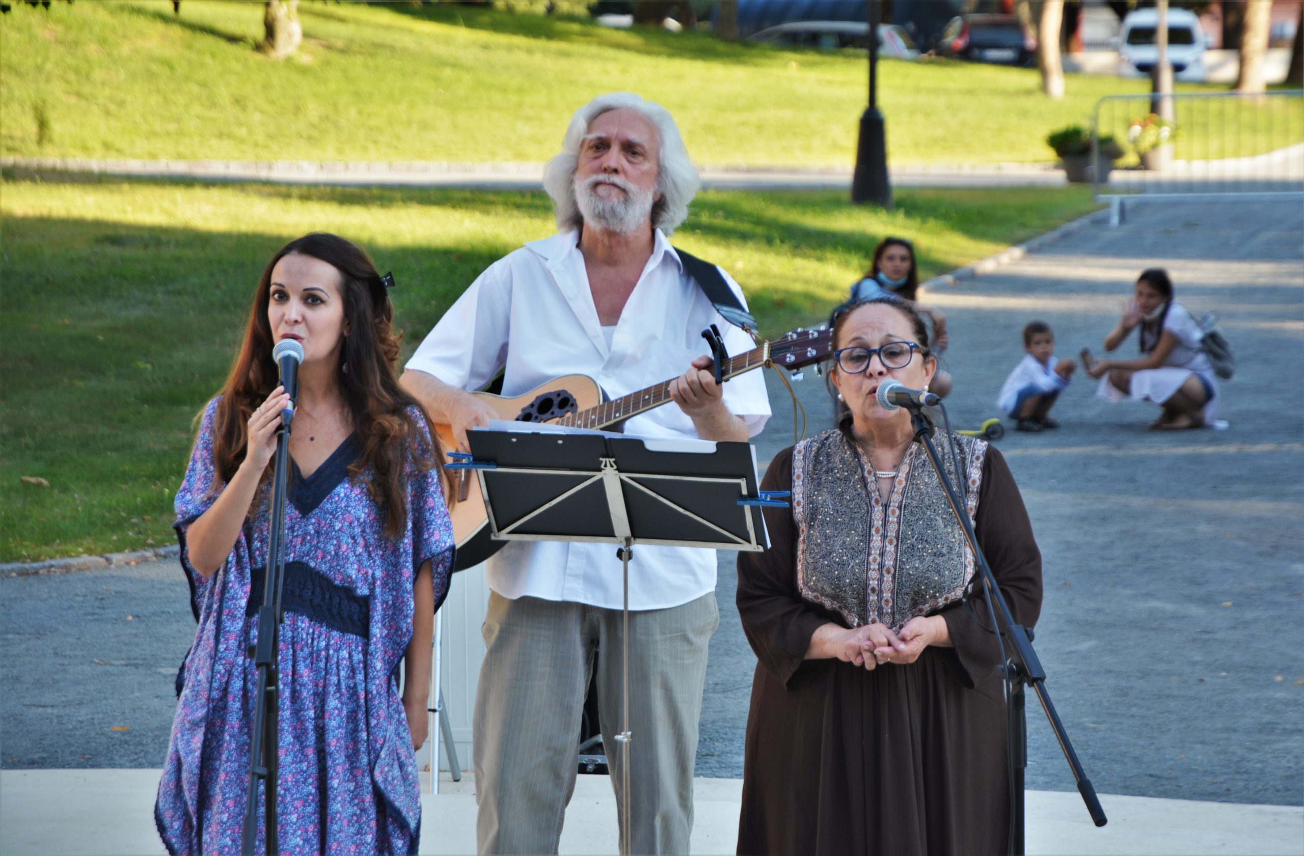 concert Give Peace a Chance 0radea (56)