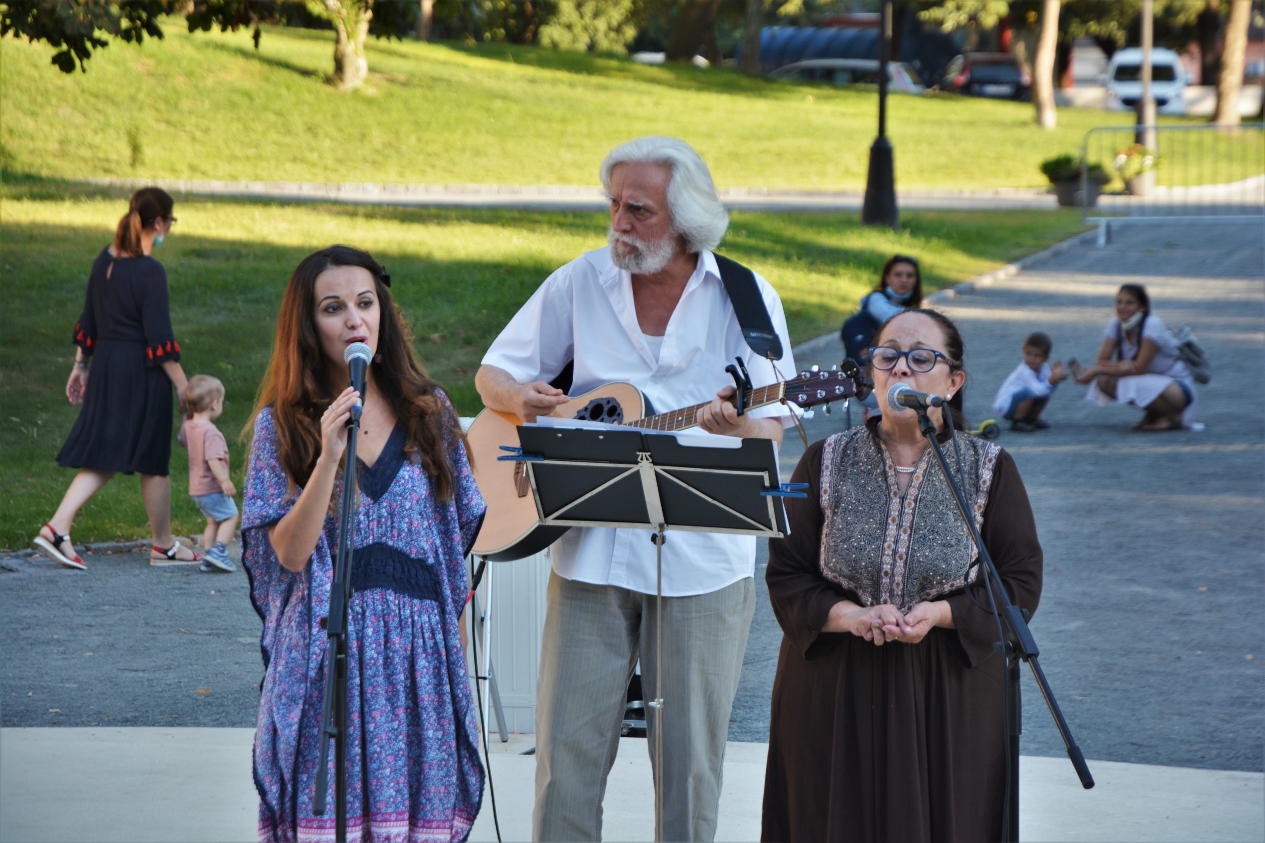 concert Give Peace a Chance 0radea (58)