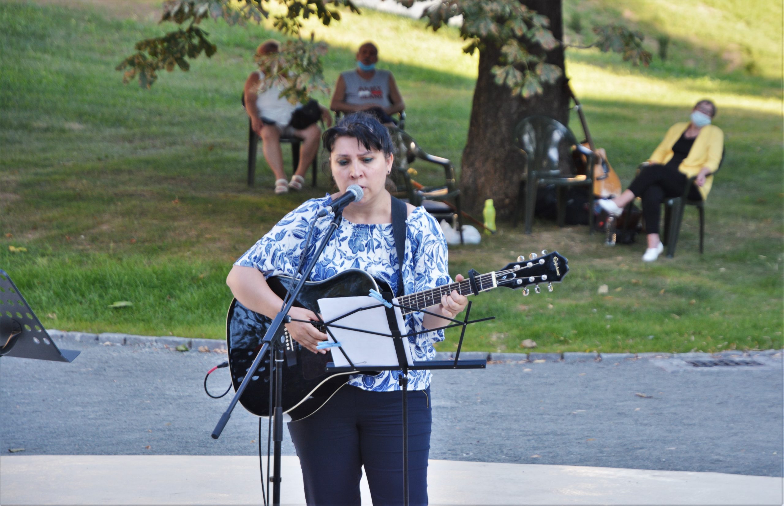 concert Give Peace a Chance 0radea (64)