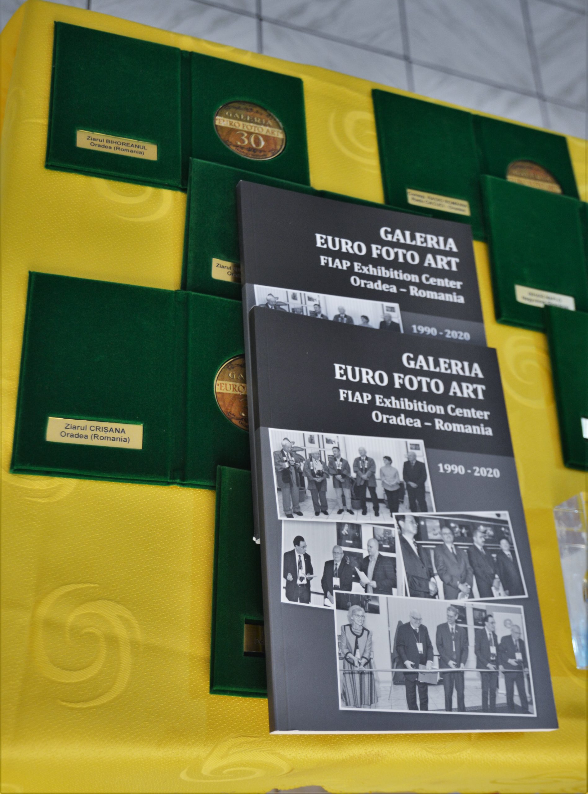 galeria foto art aniversare 30 de ani (16)