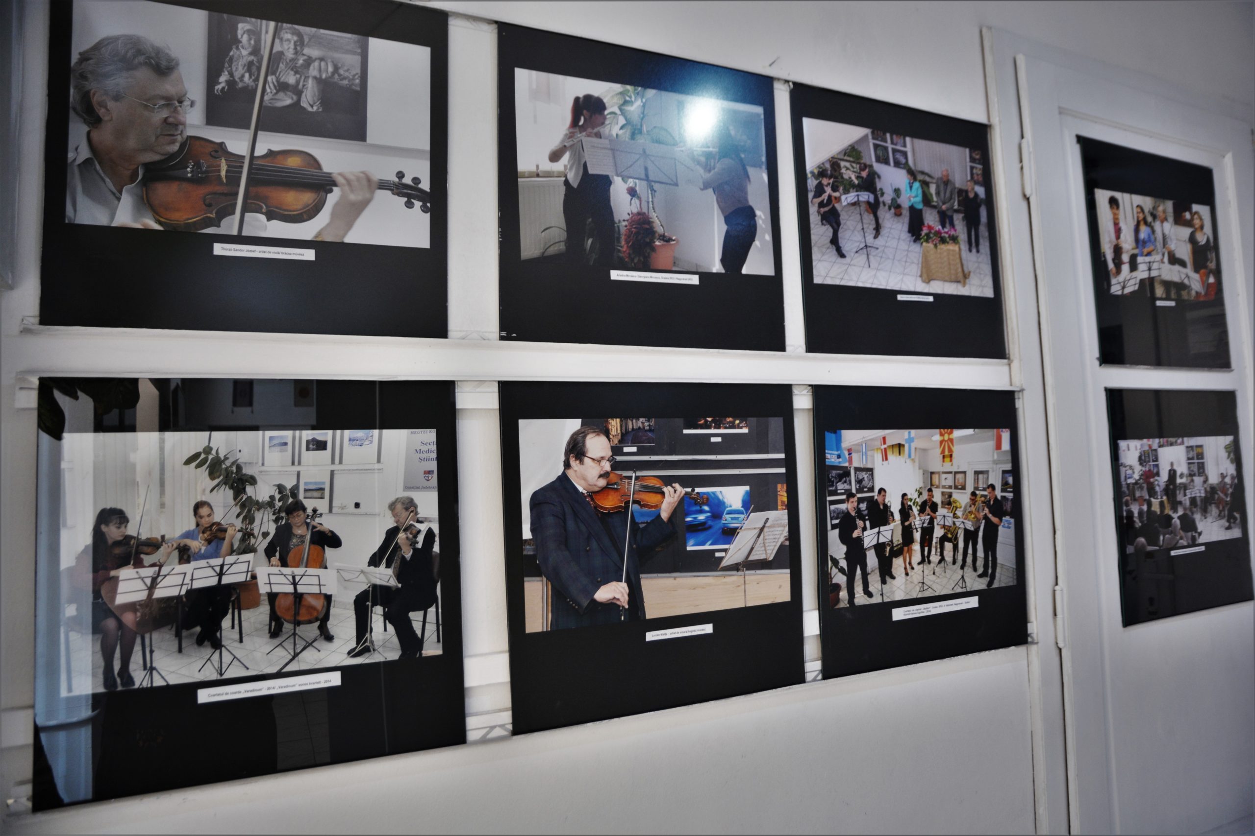 galeria foto art aniversare 30 de ani (3)