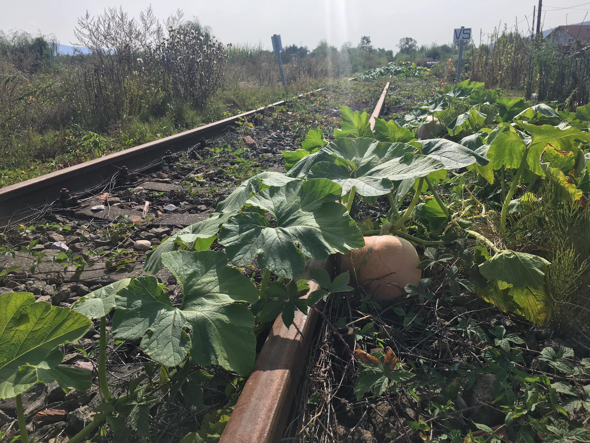 119859151_3466197403444876_8541991111801151961_o