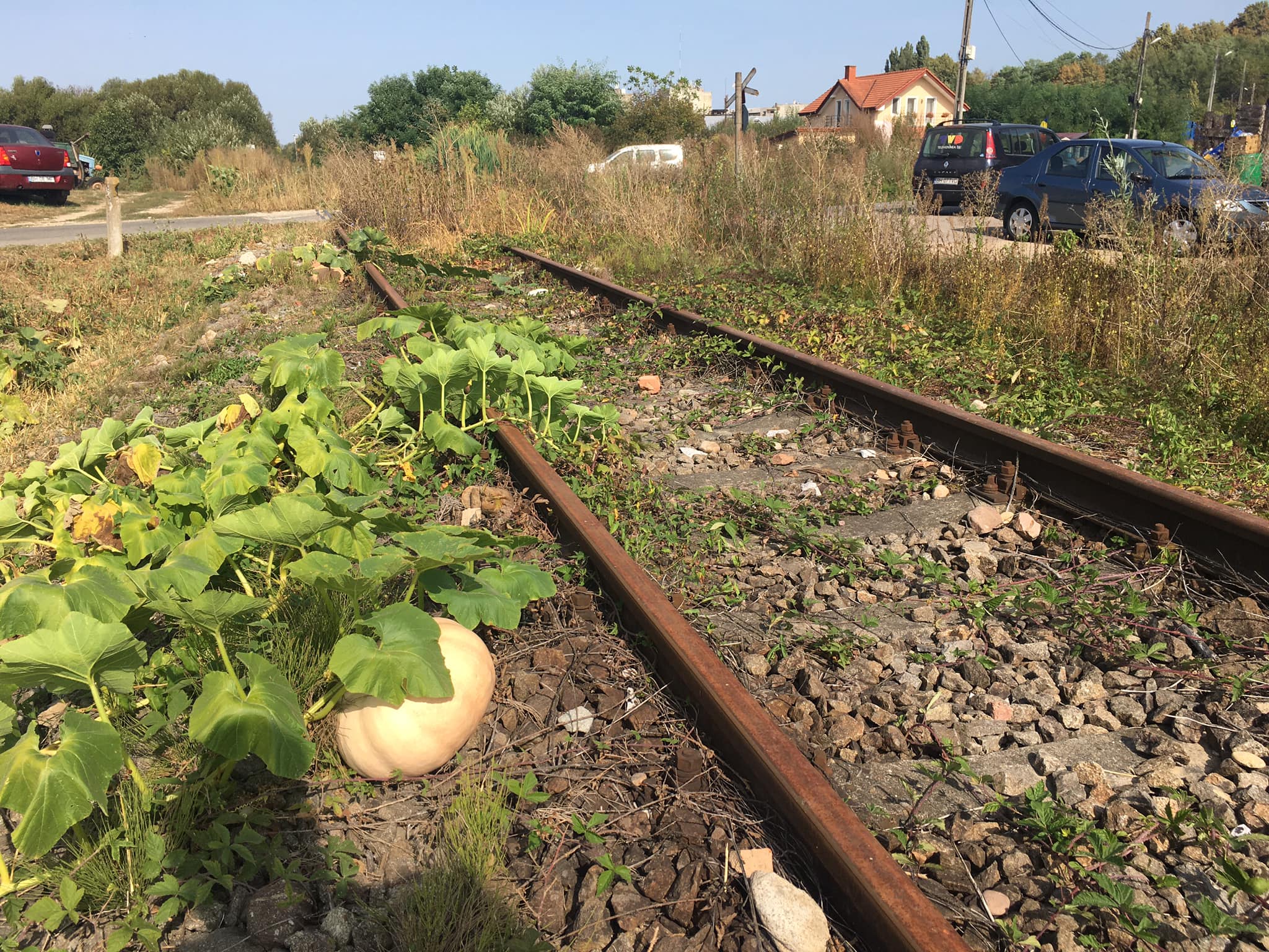 119930884_3466204980110785_521611017511125136_o