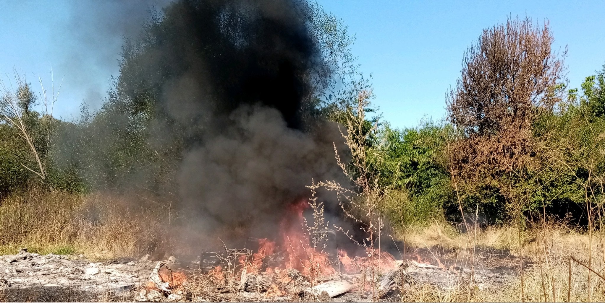 120285115_171924741156499_6209194991323576688_o