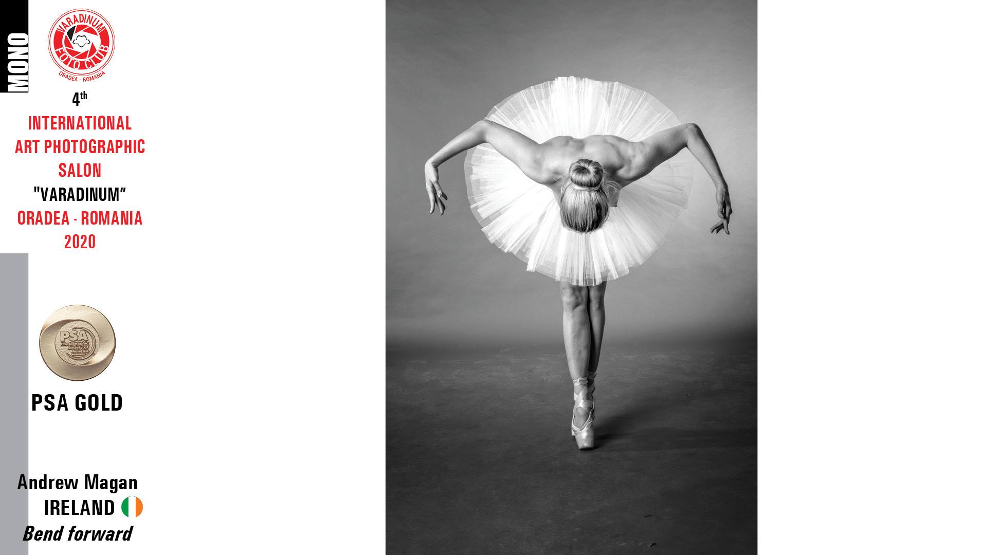 Expo Salonul Varadinum (9)