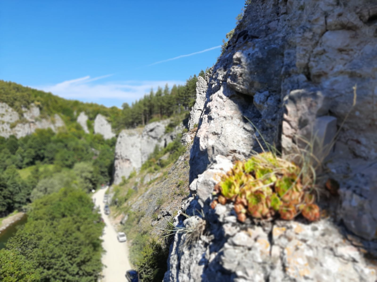 WhatsApp Image 2020-09-06 at 14.48.25 (1)