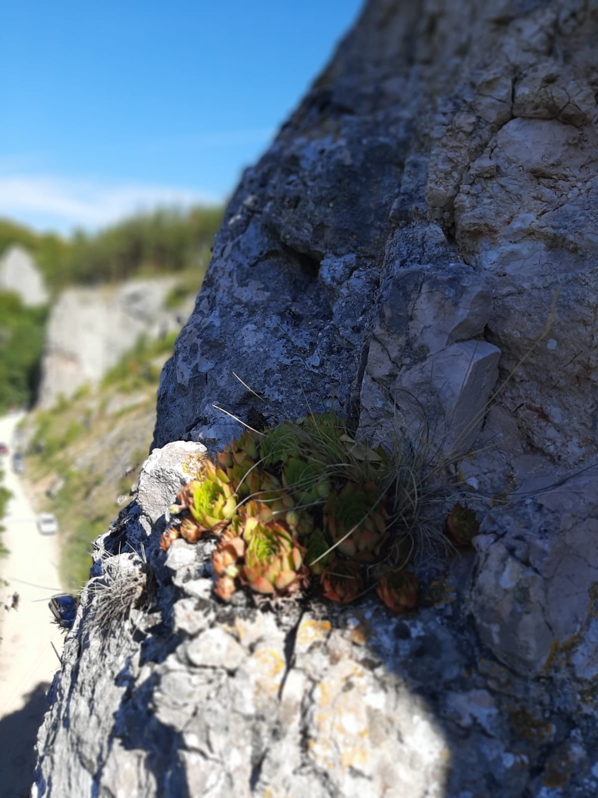 WhatsApp Image 2020-09-06 at 14.48.26