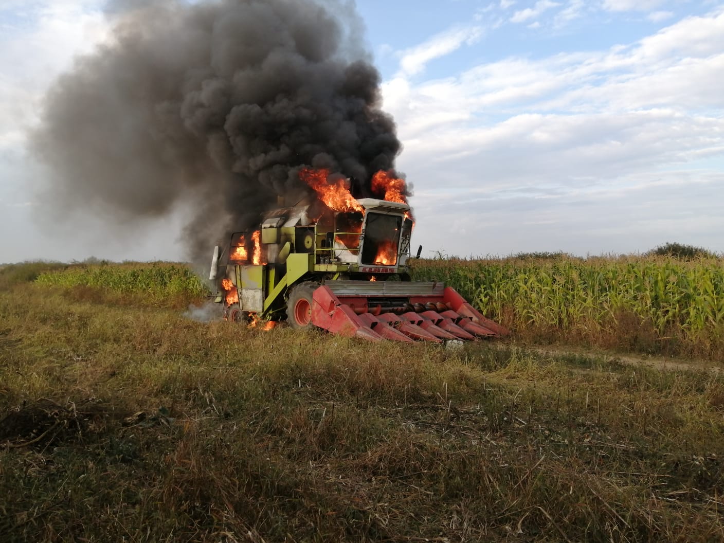 incendiu combină Tulca 1