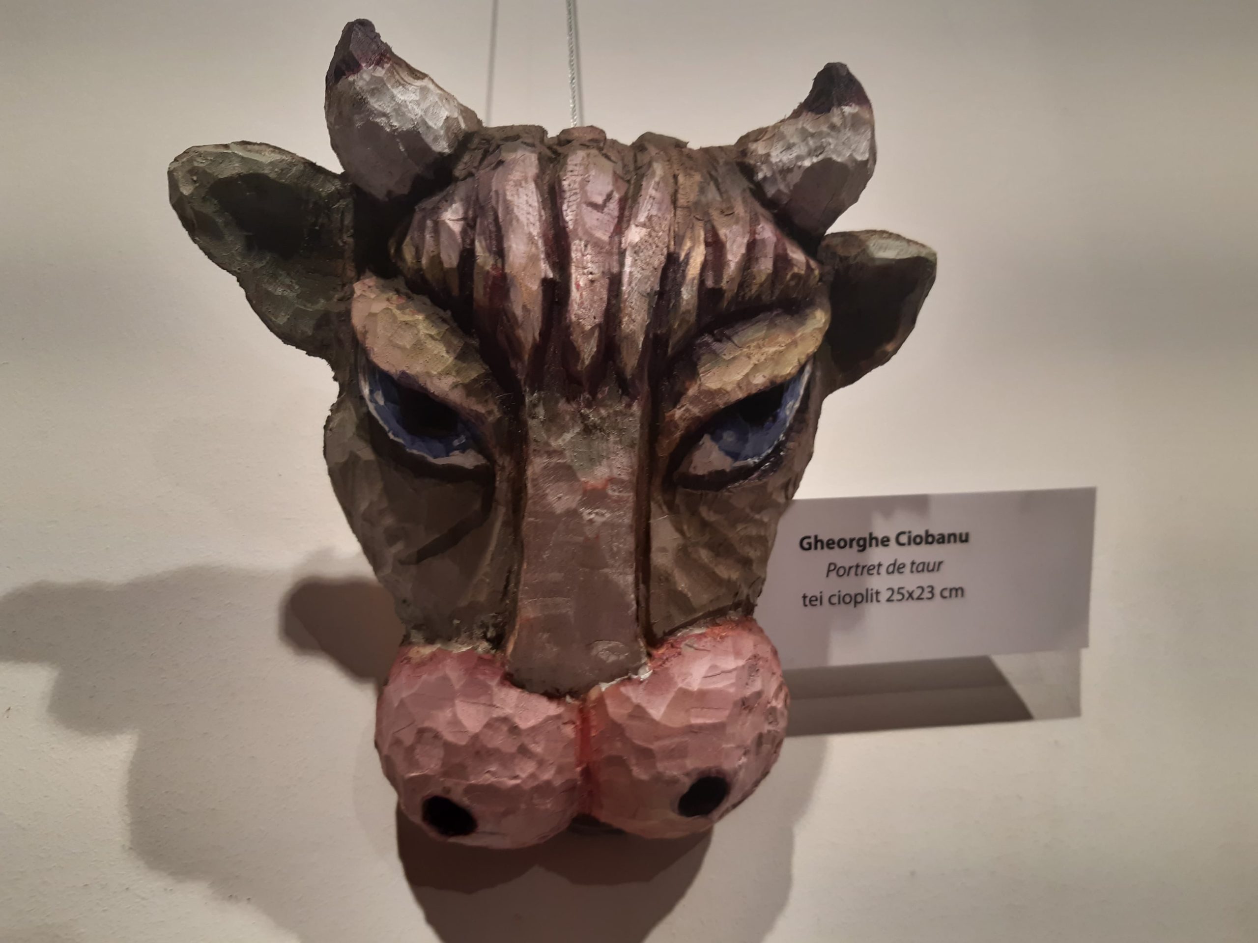 121733012_287158142268666_6695953857888985282_n