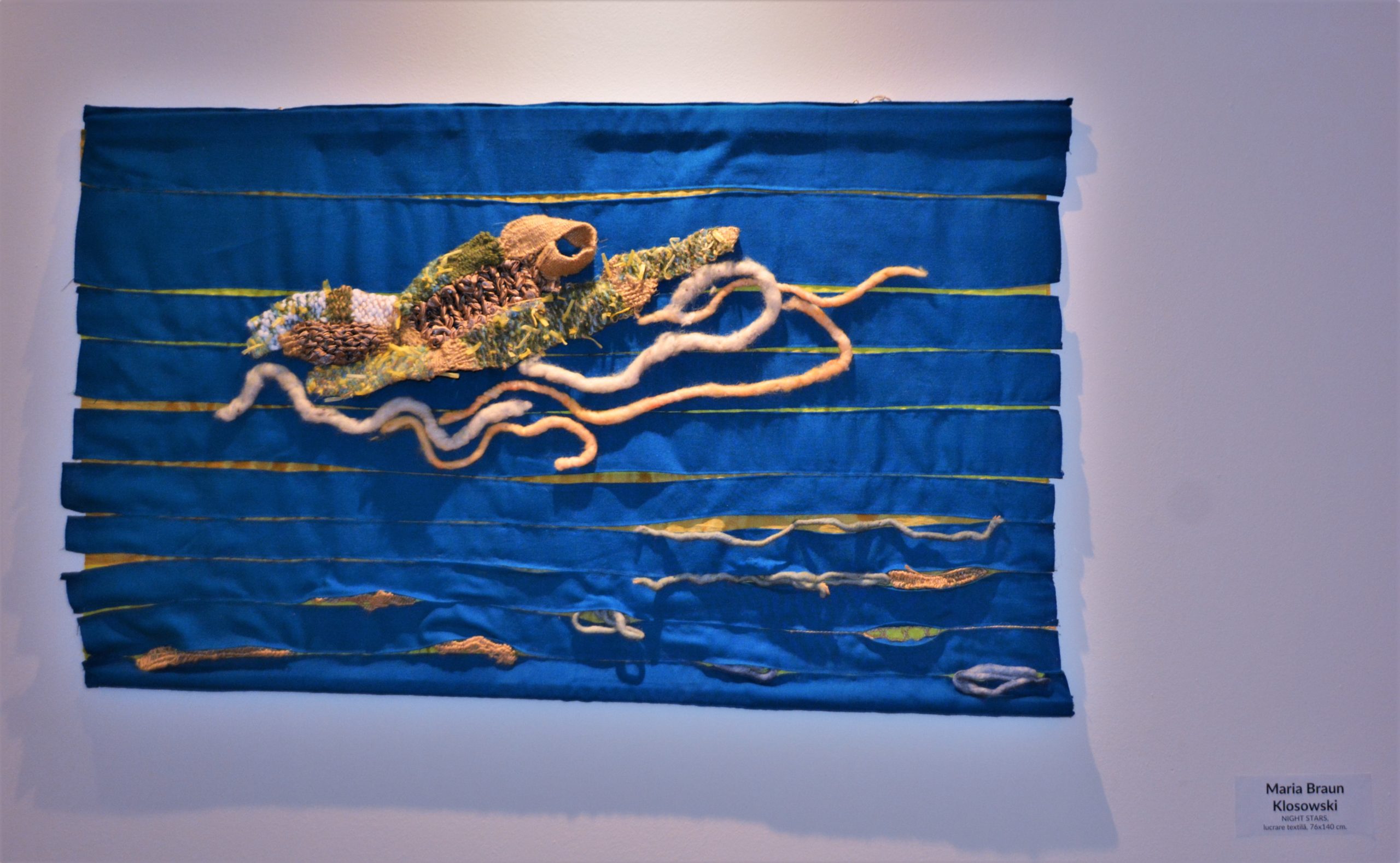 Expoziţia „Art-Eco”oradea (10)