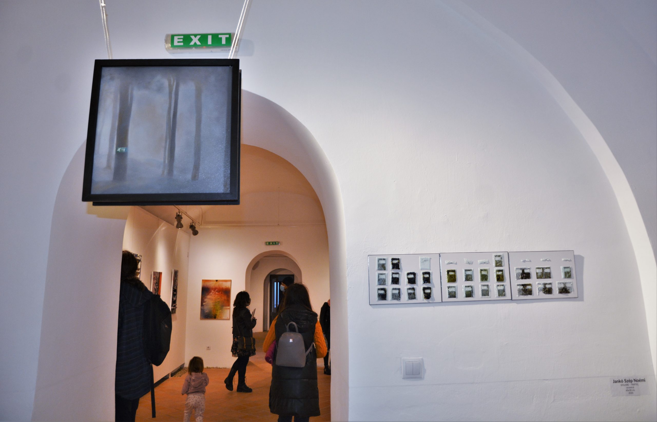 Expoziţia „Art-Eco”oradea (16)