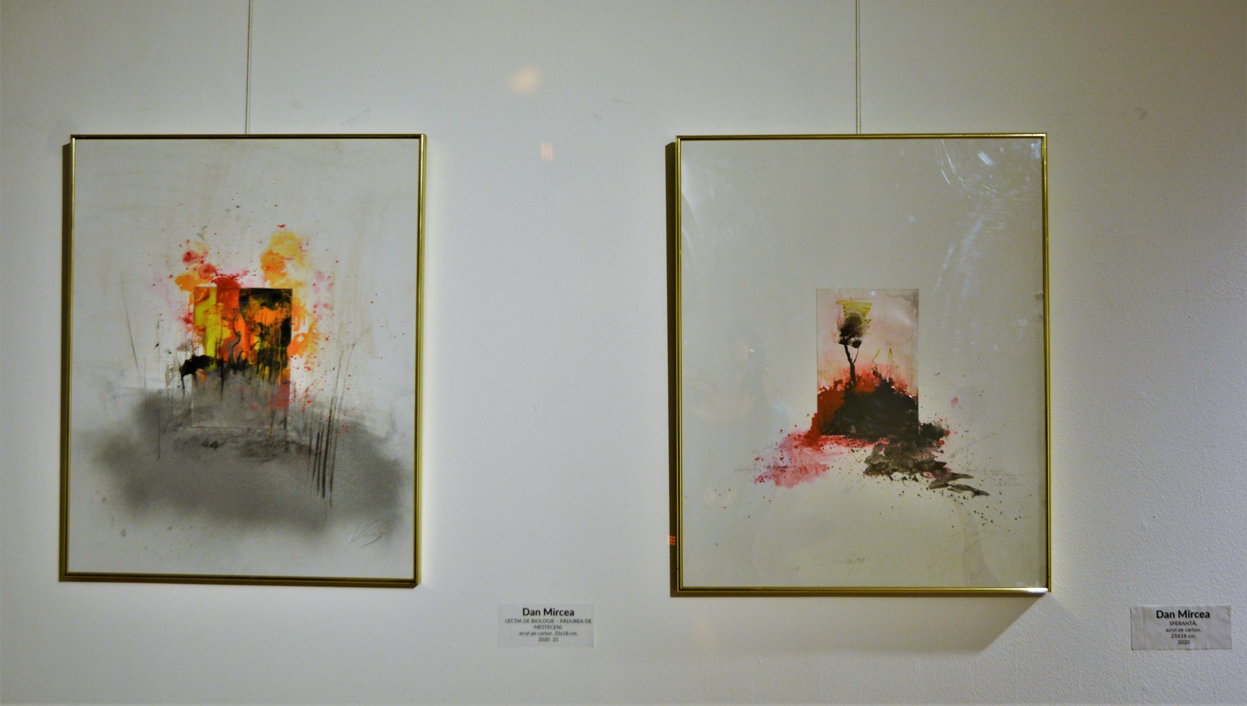 Expoziţia „Art-Eco”oradea (18)