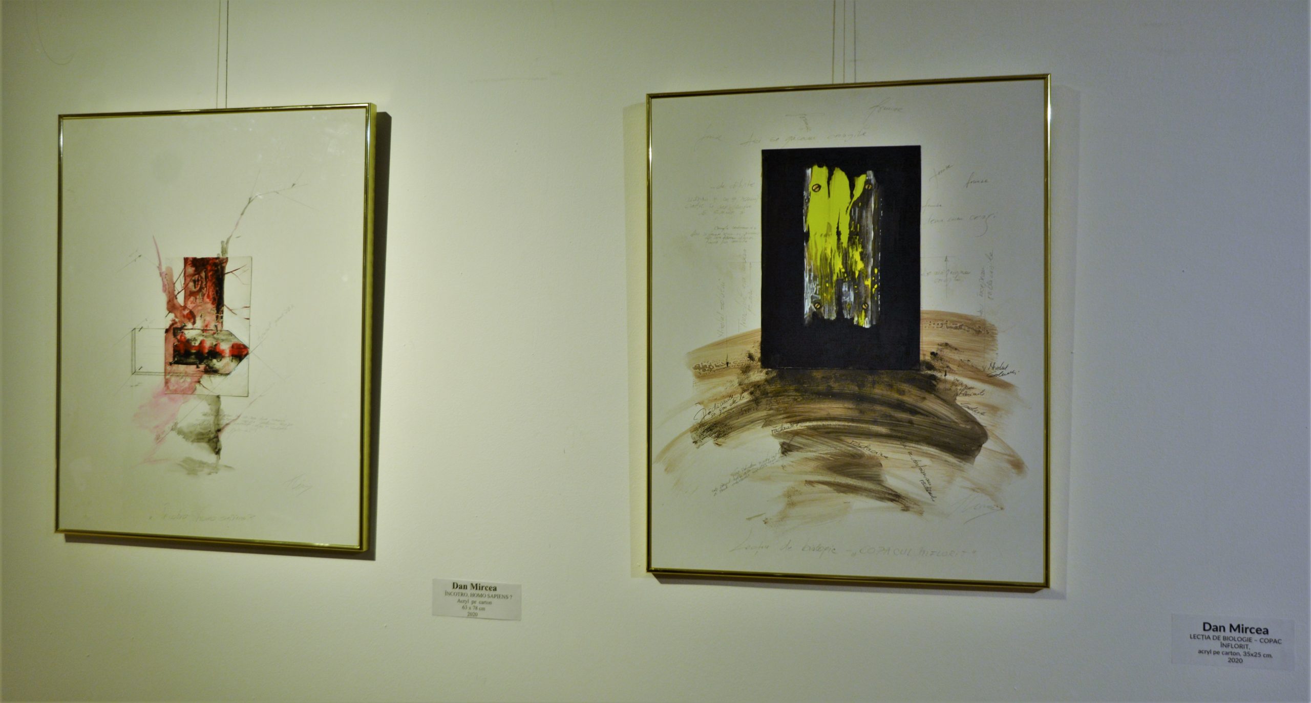 Expoziţia „Art-Eco”oradea (19)