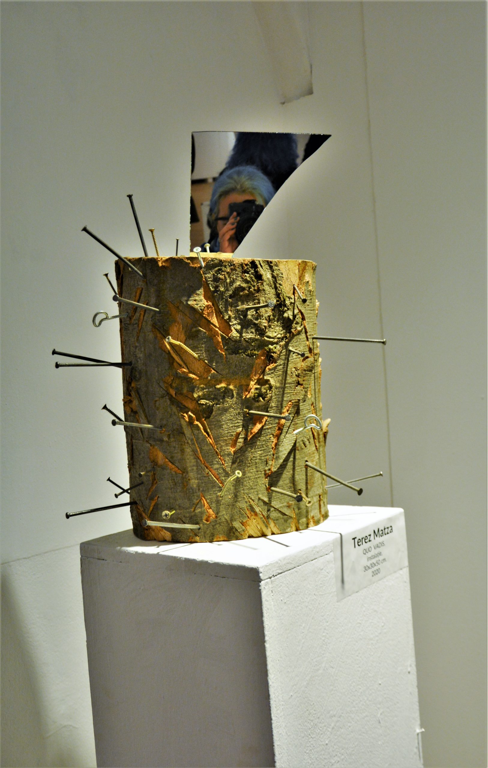 Expoziţia „Art-Eco”oradea (20)