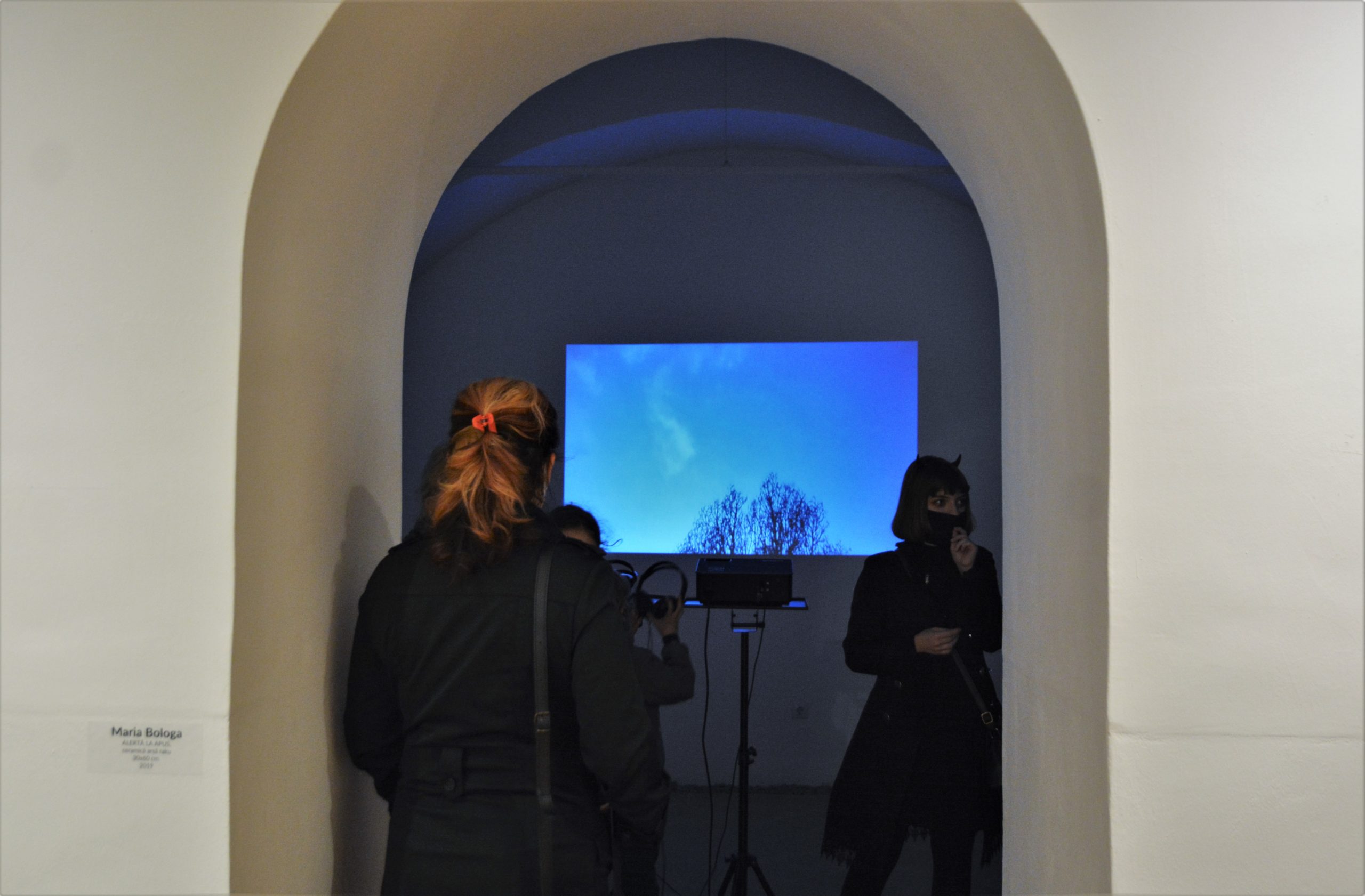 Expoziţia „Art-Eco”oradea (29)