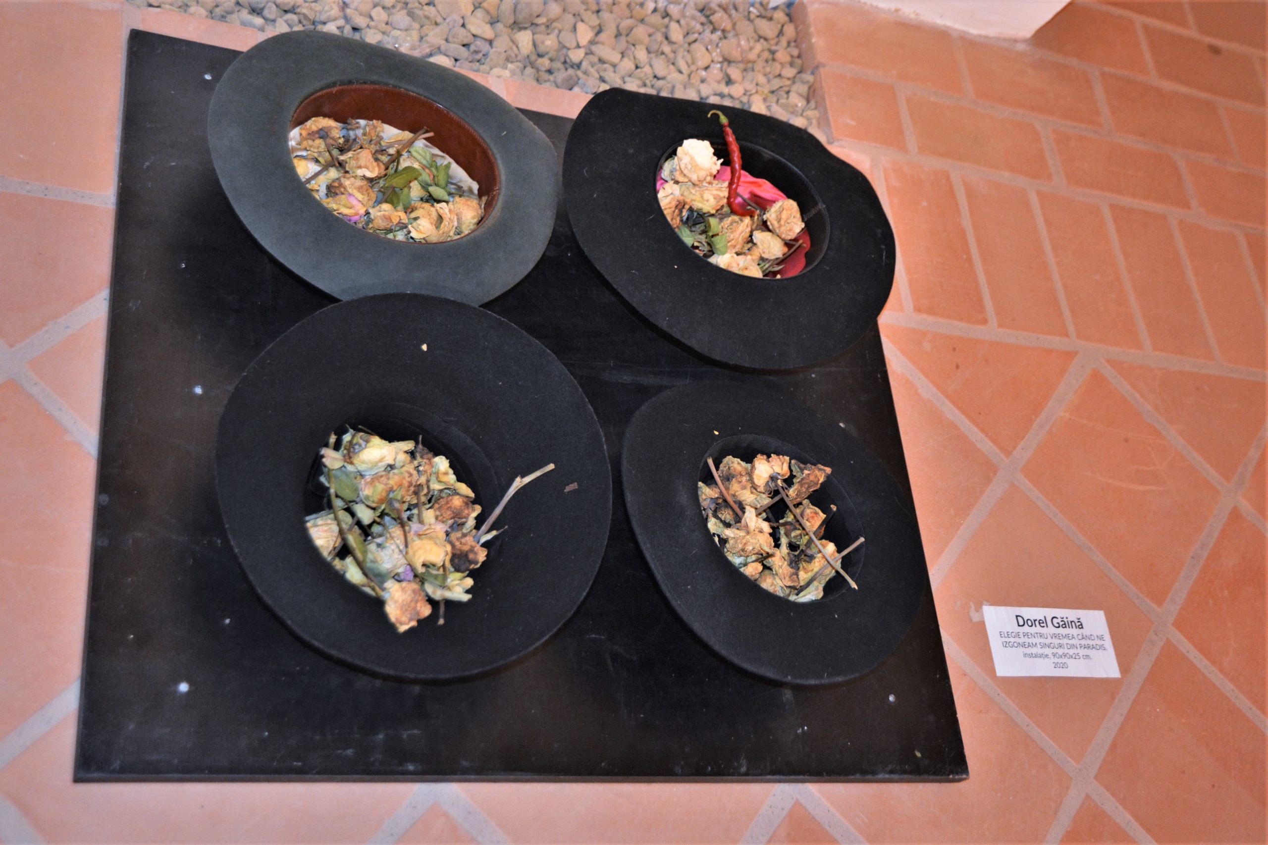 Expoziţia „Art-Eco”oradea (33)