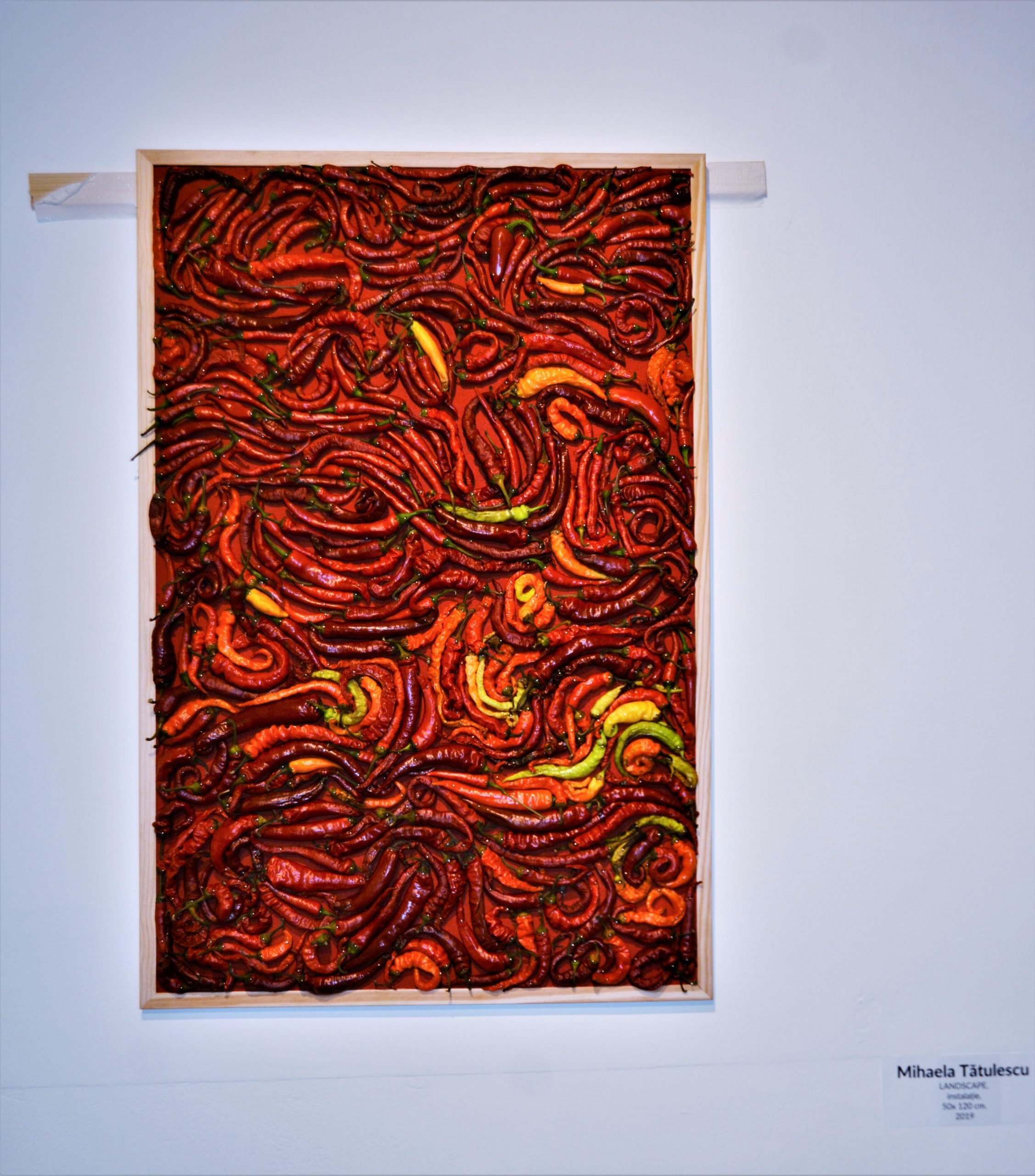 Expoziţia „Art-Eco”oradea (34)