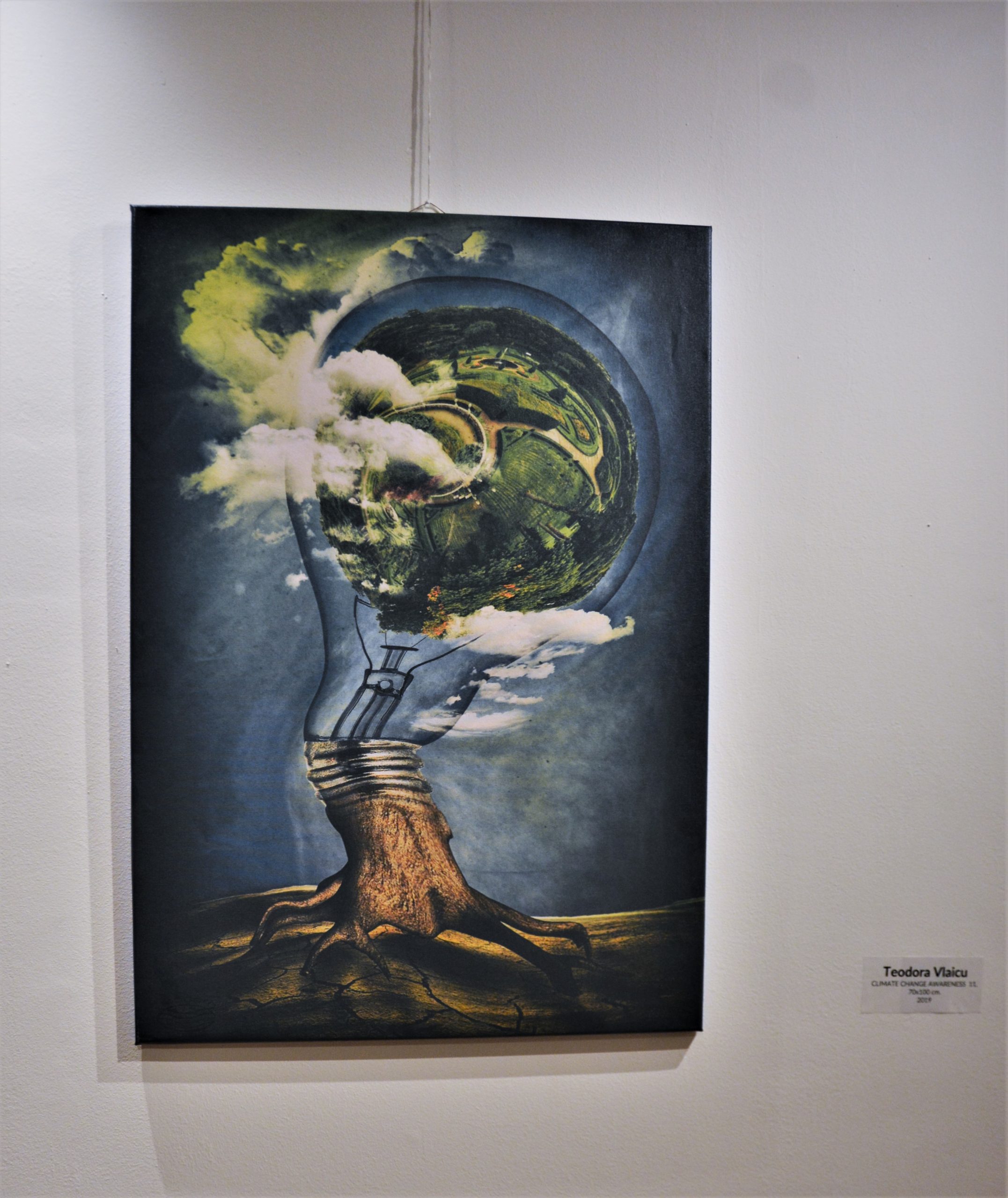 Expoziţia „Art-Eco”oradea (38)